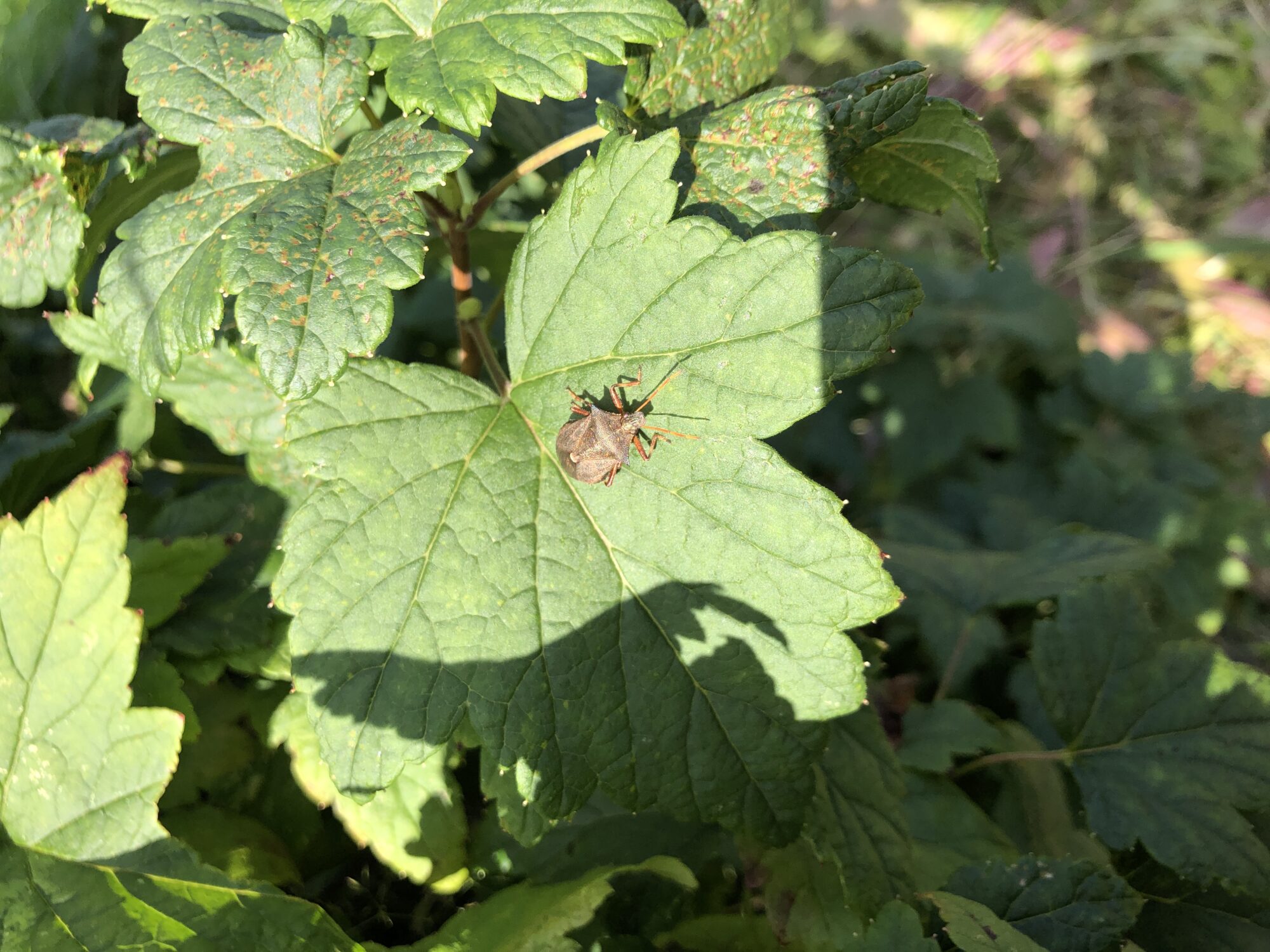 Valokuvaaja: Ilona Jolanki