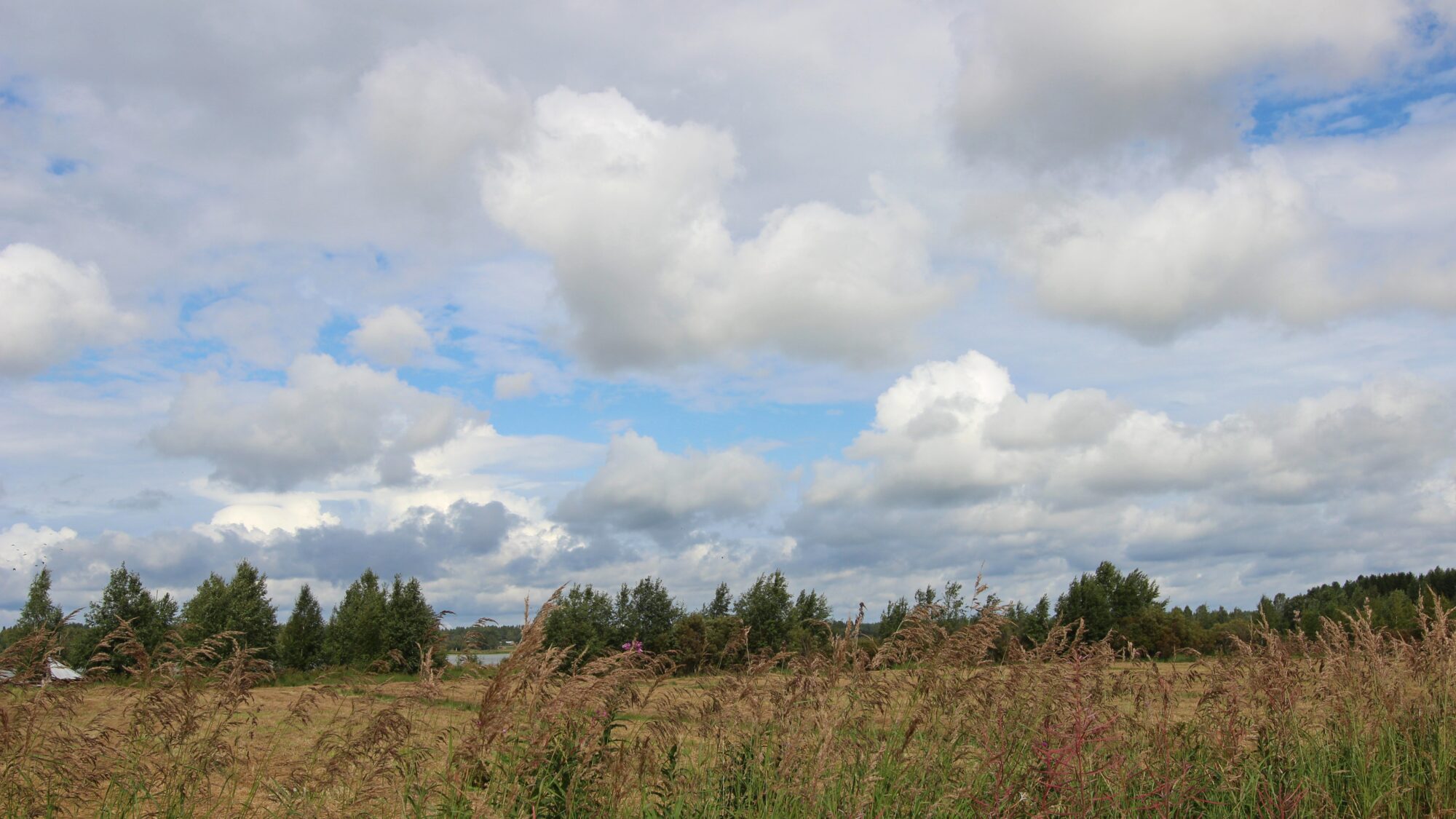 Valokuvaaja: SINIKKA KUJALA Valokuvaaja: SINIKKA KUJALA