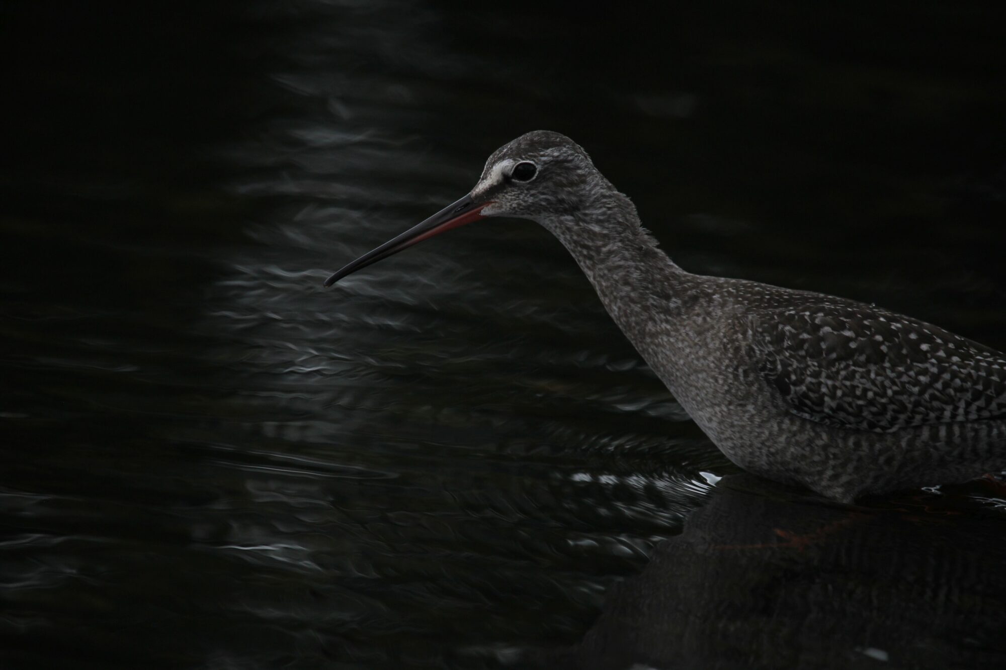 Valokuvaaja: Mikael Särkelä