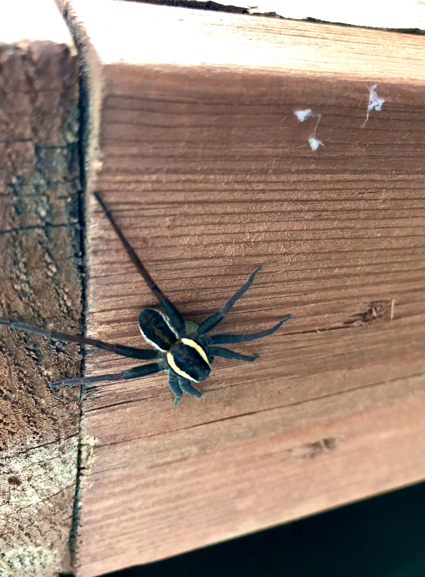 Valokuvaaja: Tero Korhonen