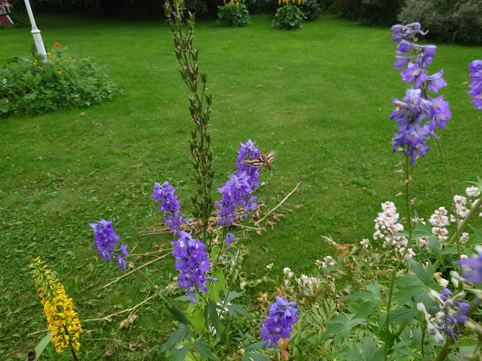 Valokuvaaja: Esko Rissanen