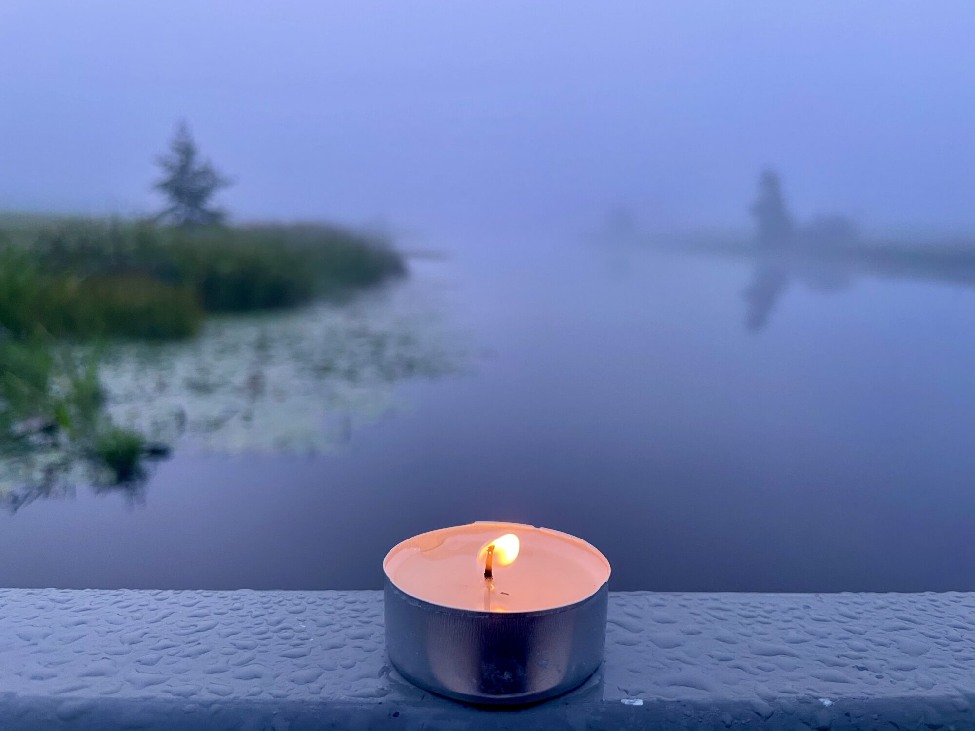 Valokuvaaja: Juhani Peltonen