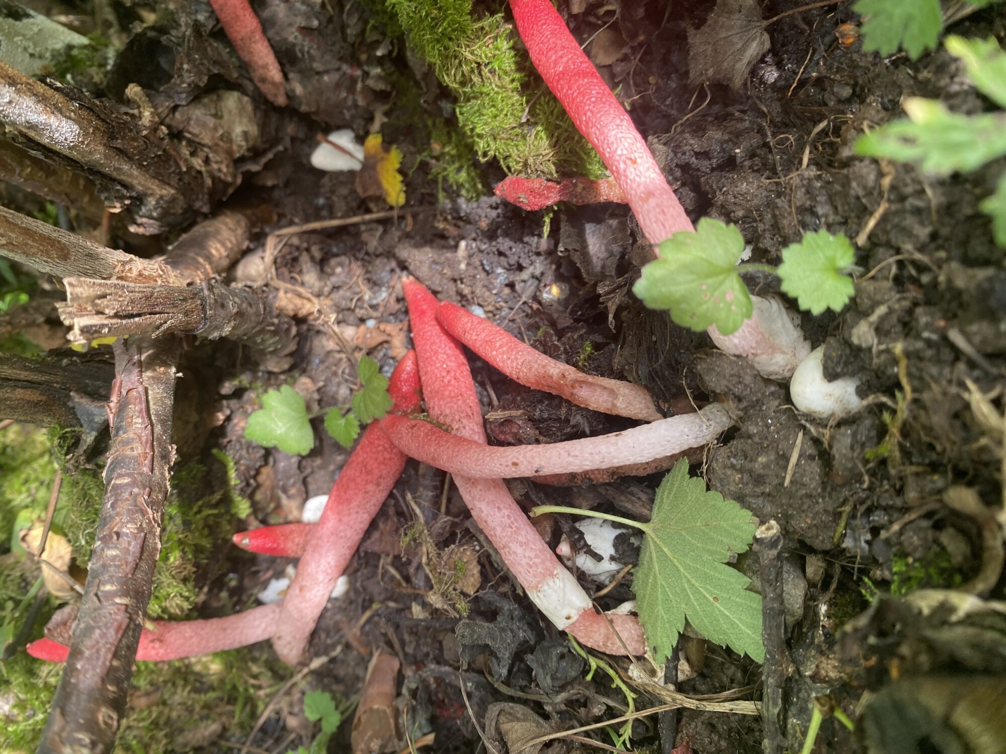 Valokuvaaja: Markku Ranta-Eilola Valokuvaaja: Markku Ranta-Eilola