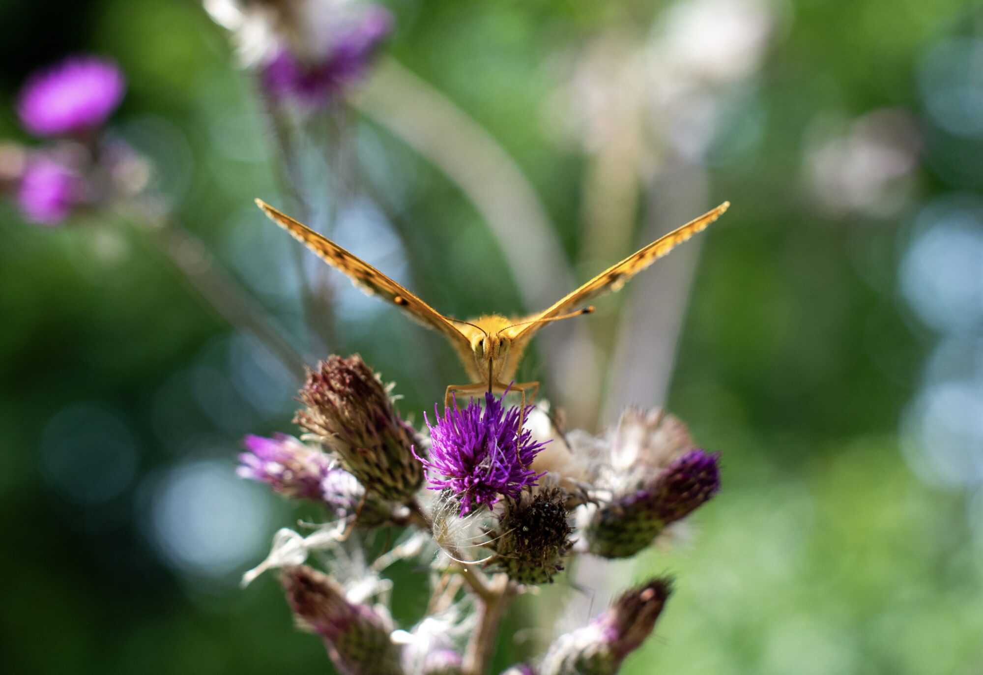Valokuvaaja: Eveliina Sinkkonen