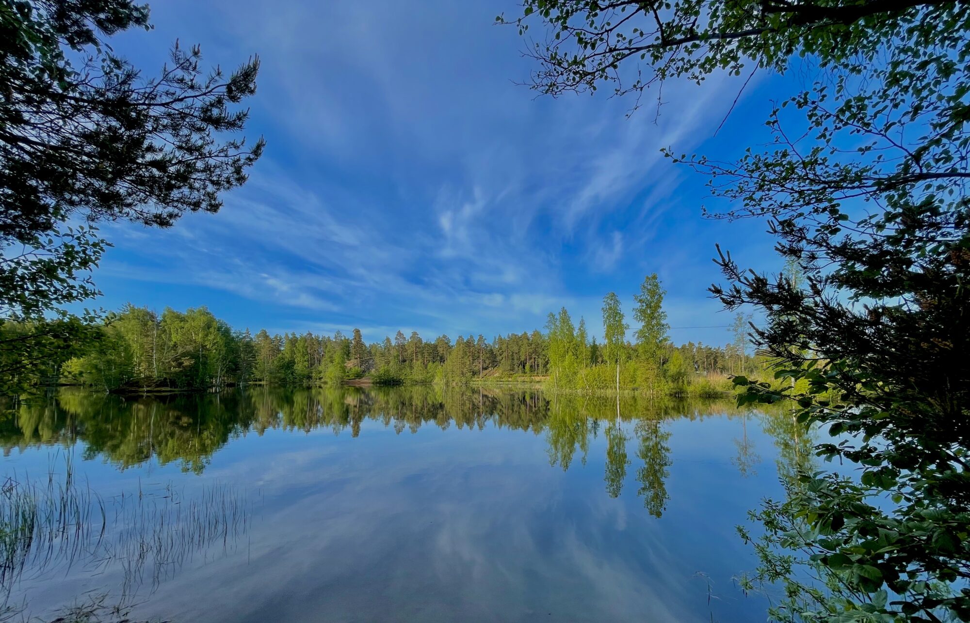 Valokuvaaja: Juhani Peltonen