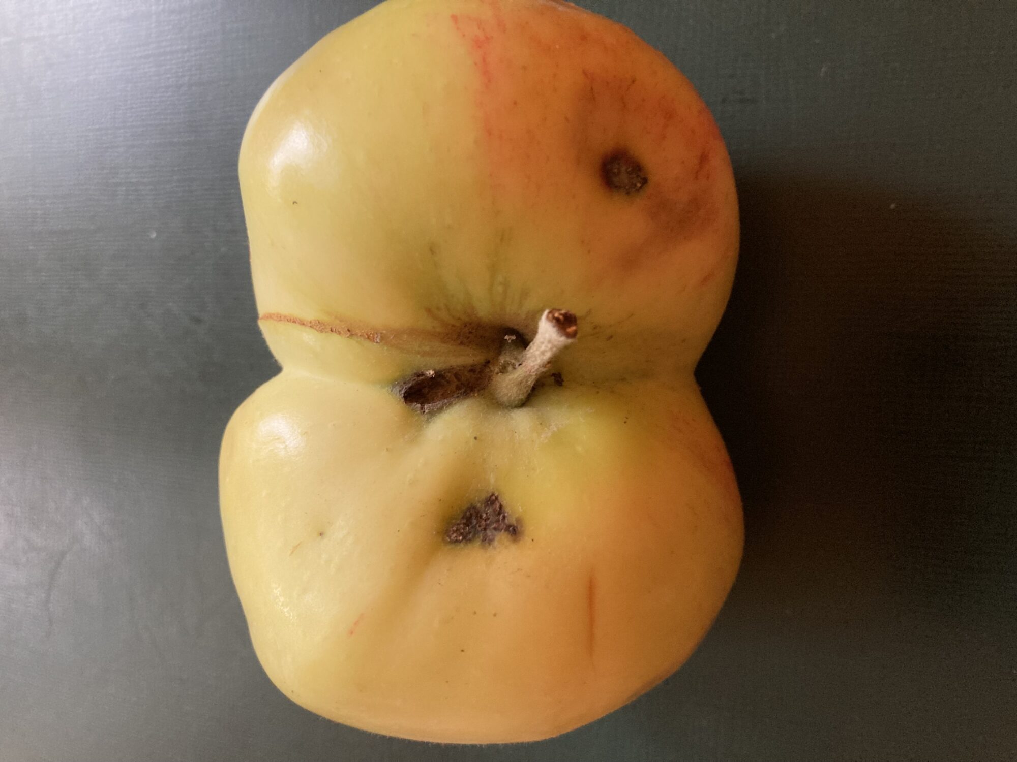 Valokuvaaja: Veikko Löyttyniemi