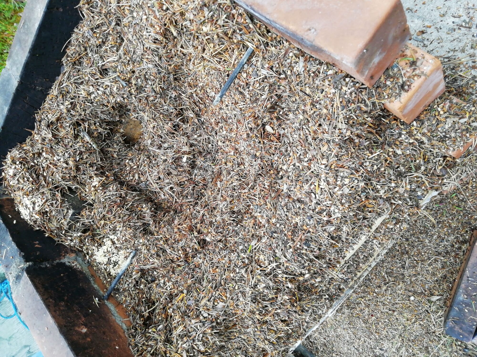 Valokuvaaja: Hannele Rantanen