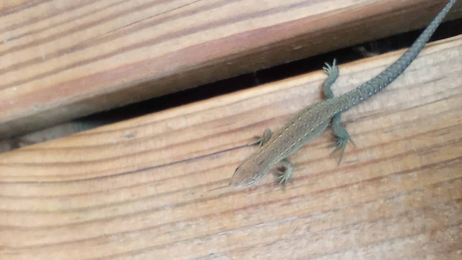 Valokuvaaja: Heli Lehtonen