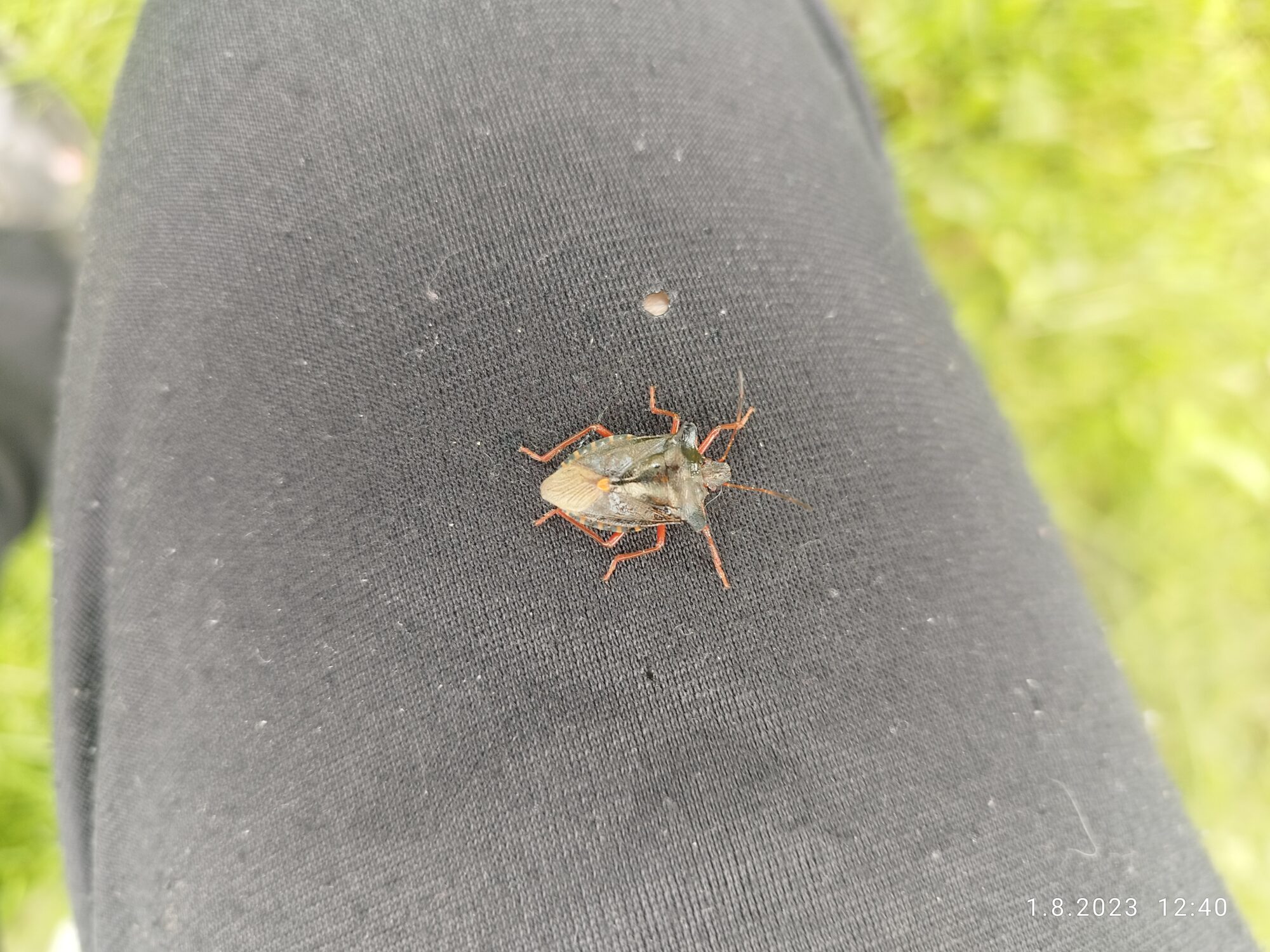 Valokuvaaja: Kimmo Järvinen