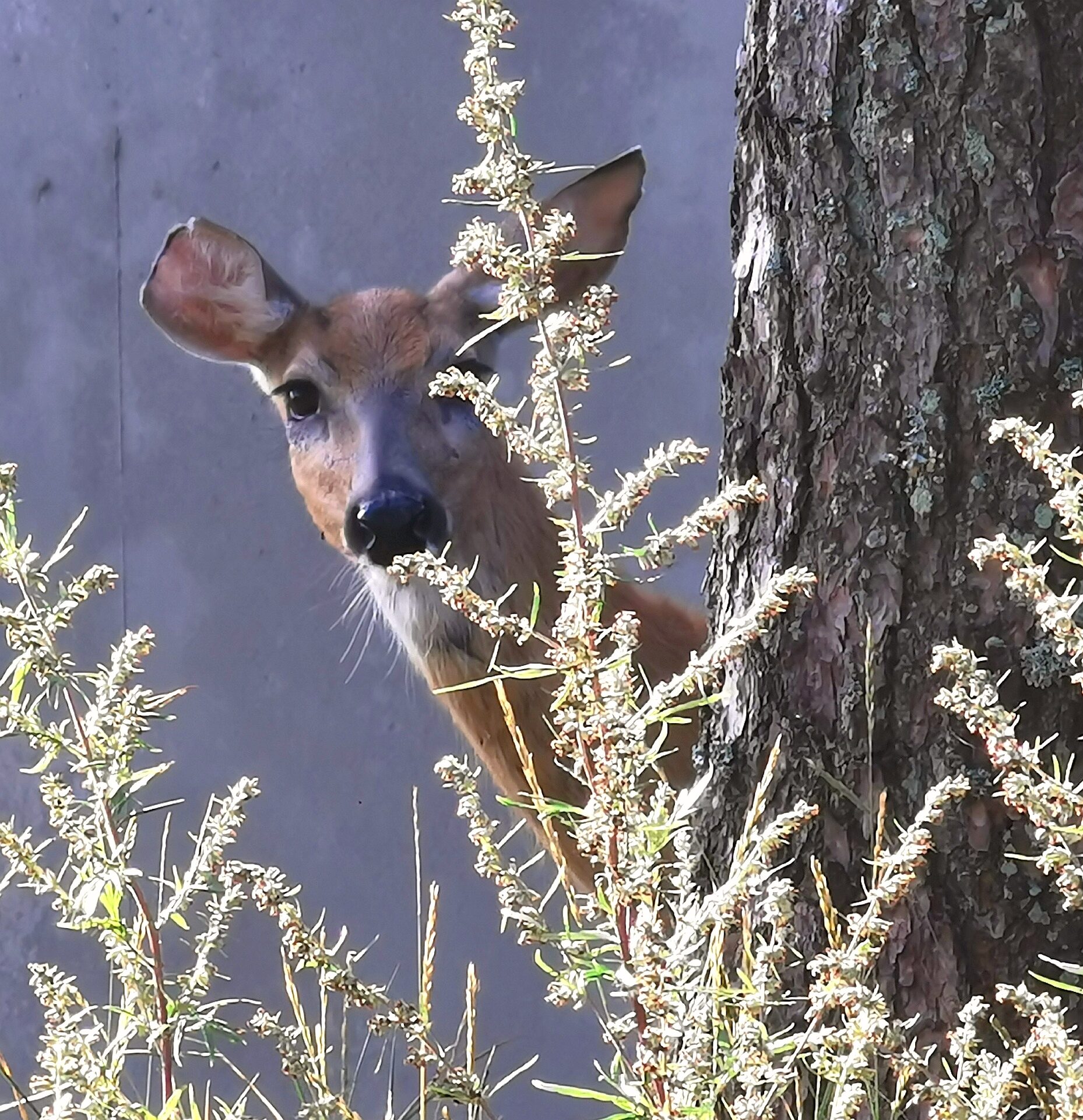 Valokuvaaja: Irma Nurmi