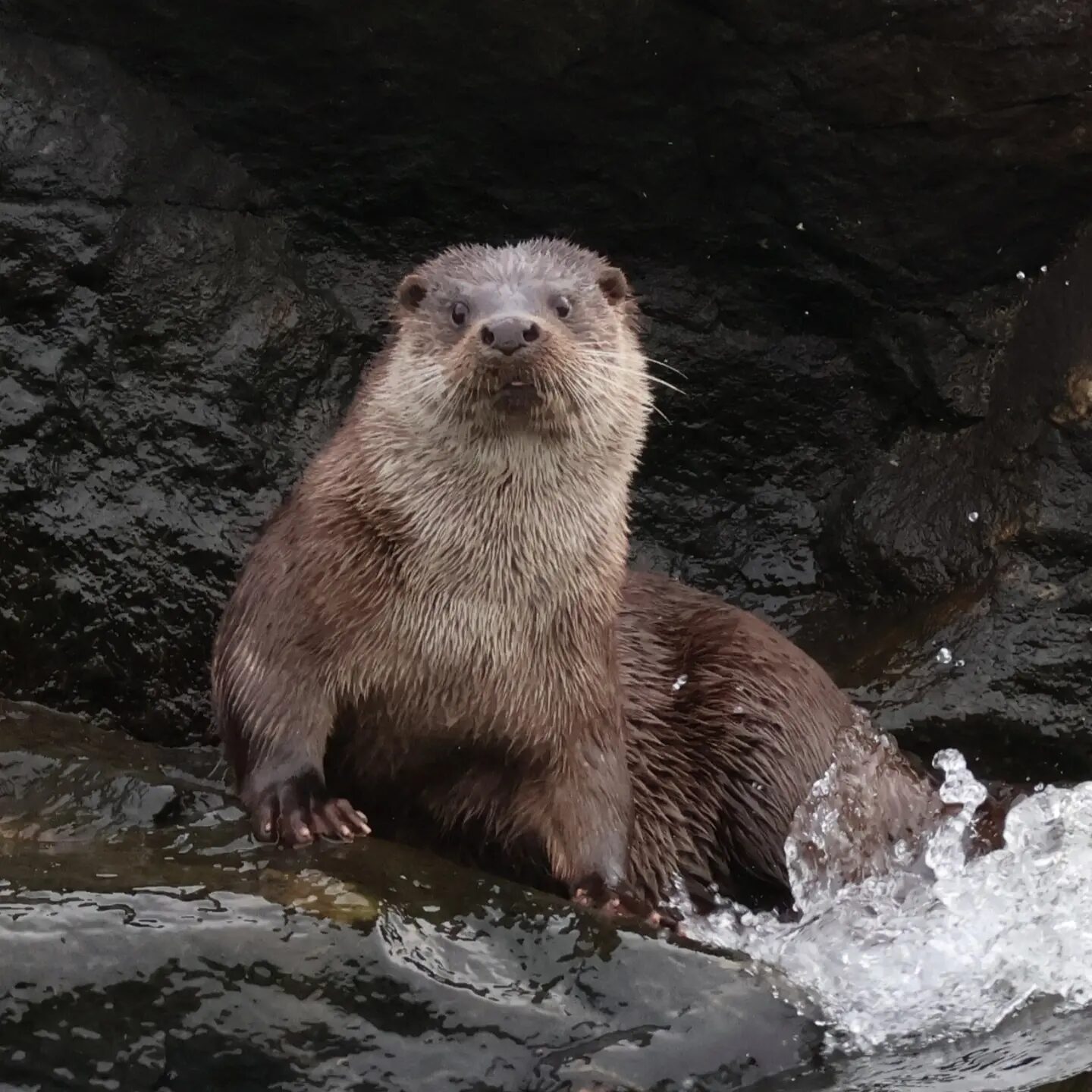 Valokuvaaja: Hanna Rönty