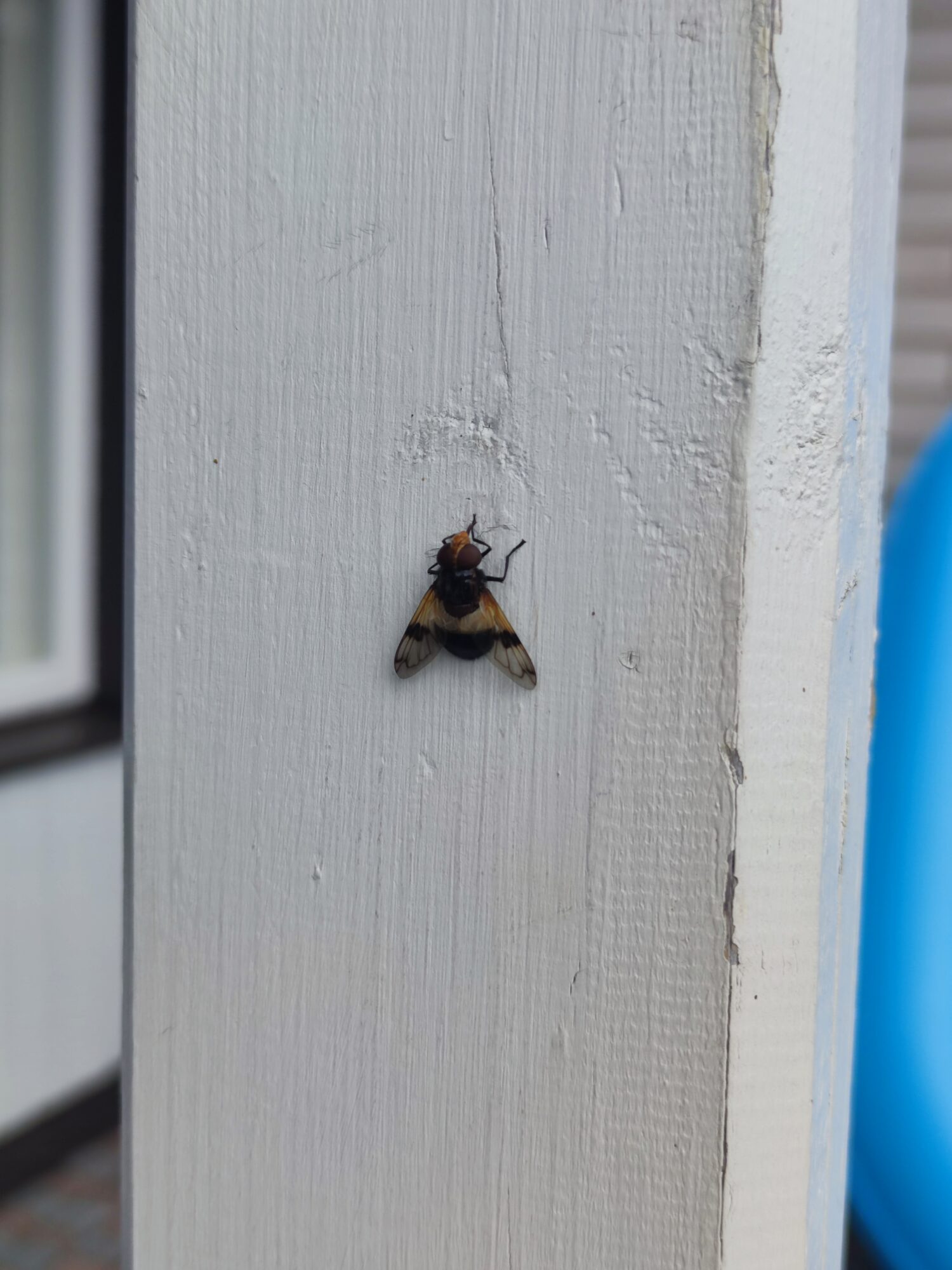 Valokuvaaja: Anu Vanha