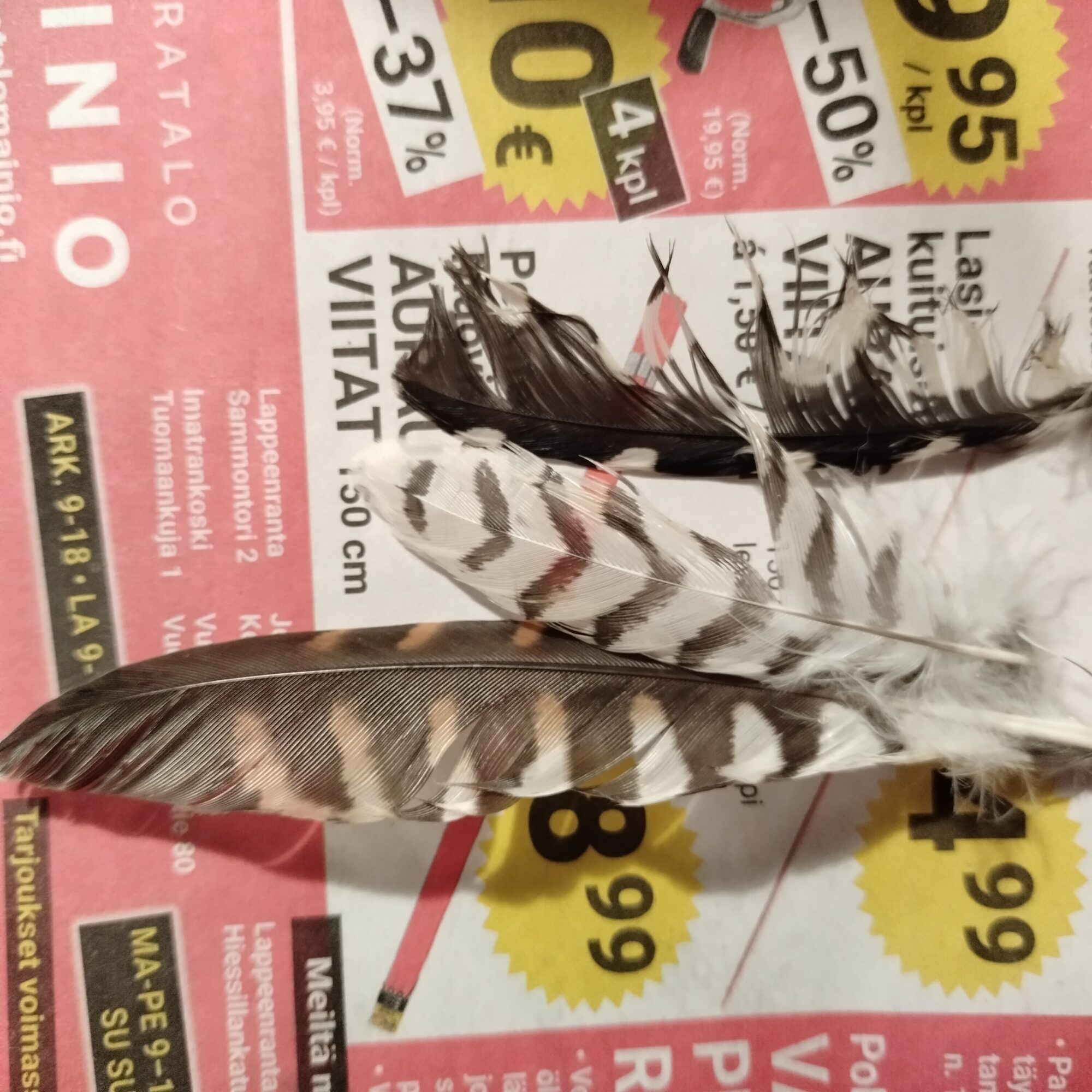 Valokuvaaja: Jaana Mäkelä