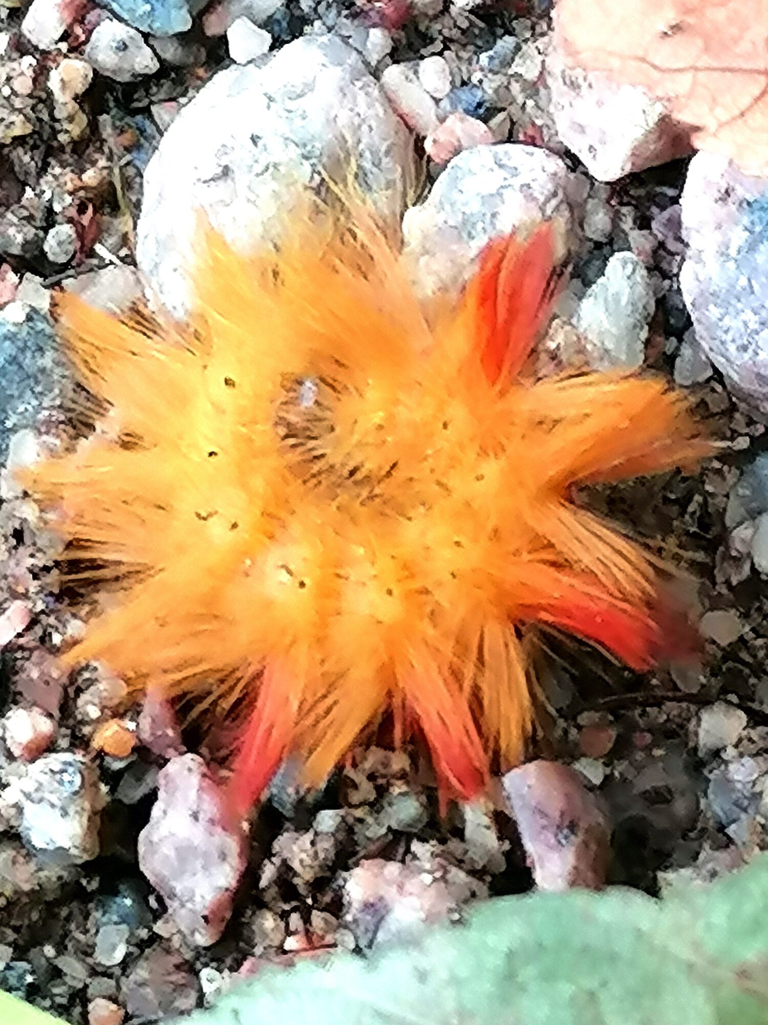 Valokuvaaja: Sanna Koski