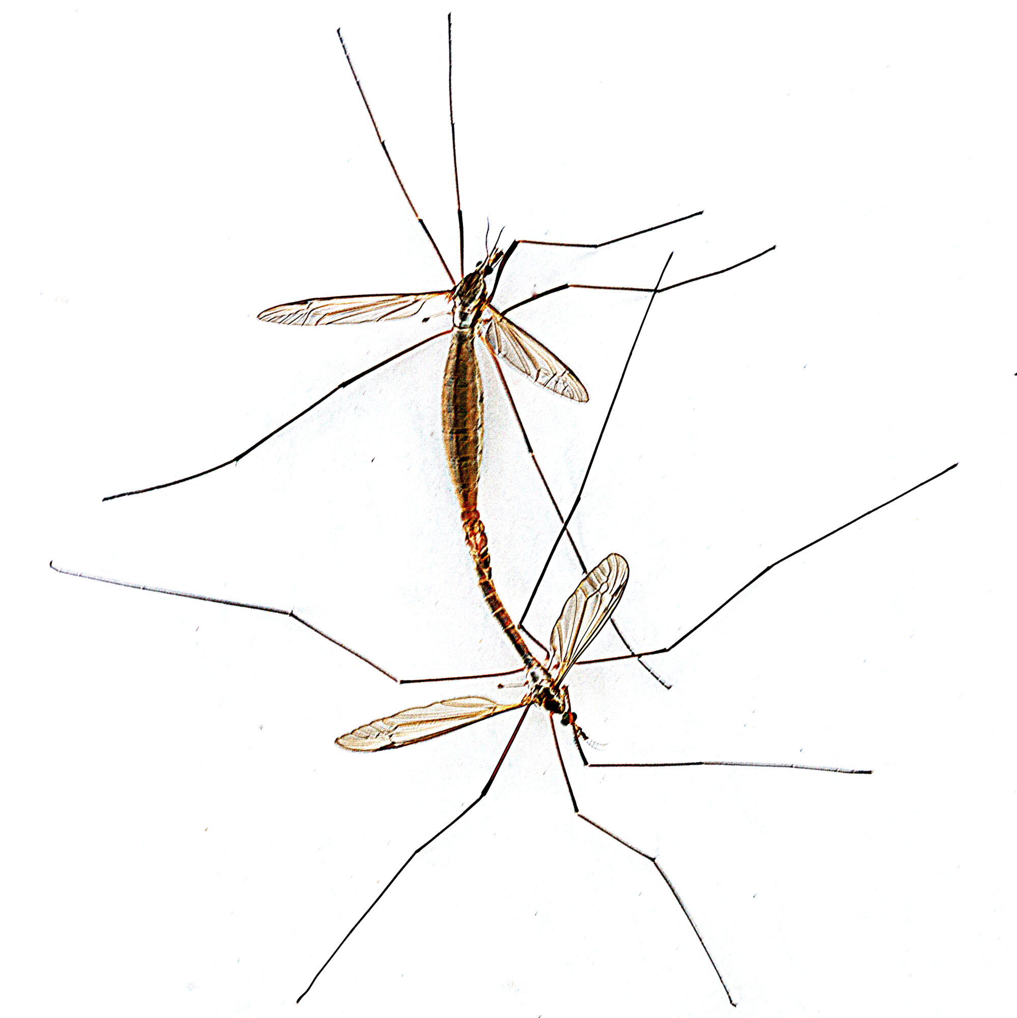 Valokuvaaja: Hannu Rasiranta