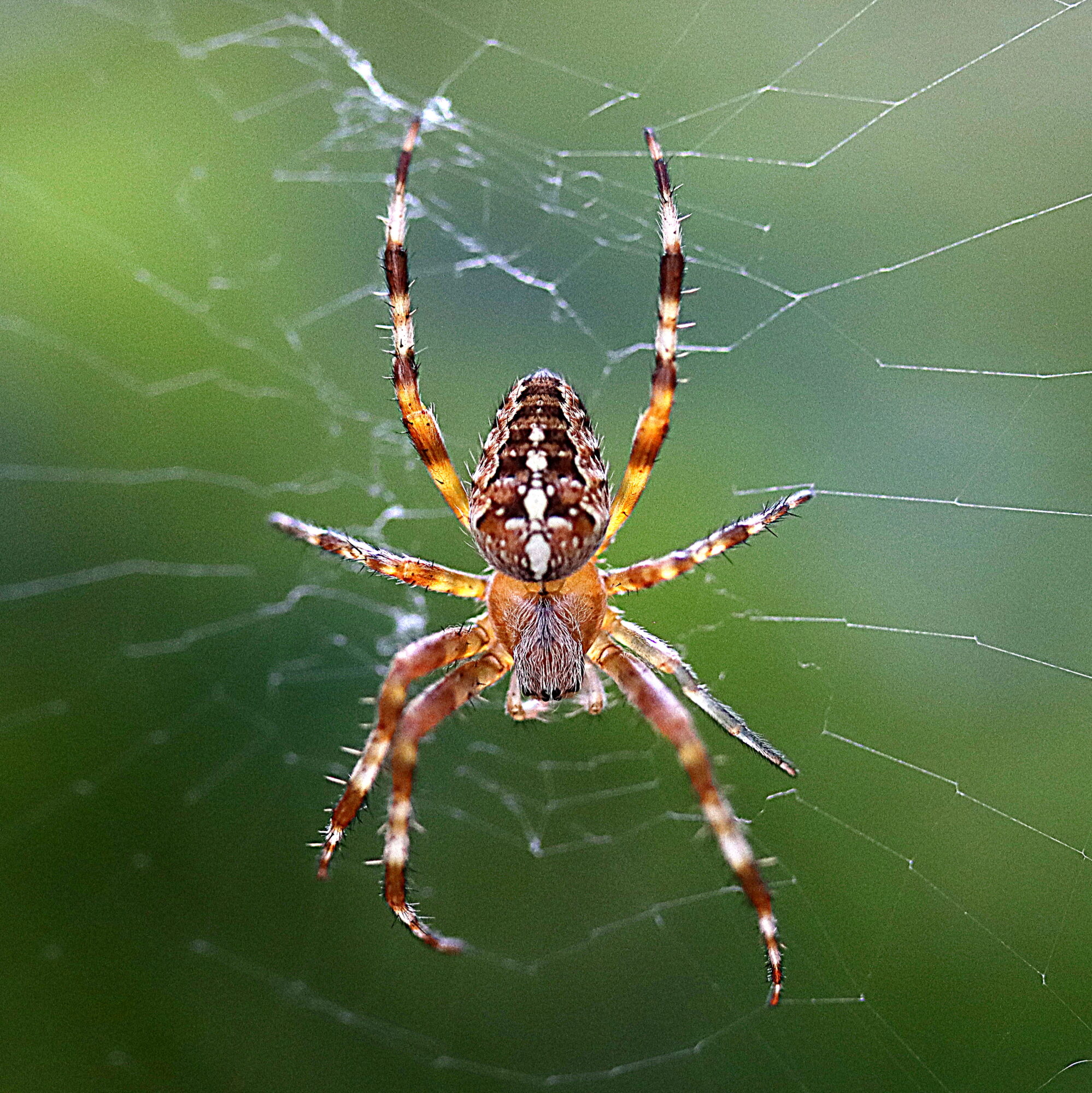 Valokuvaaja: Hannu Rasiranta
