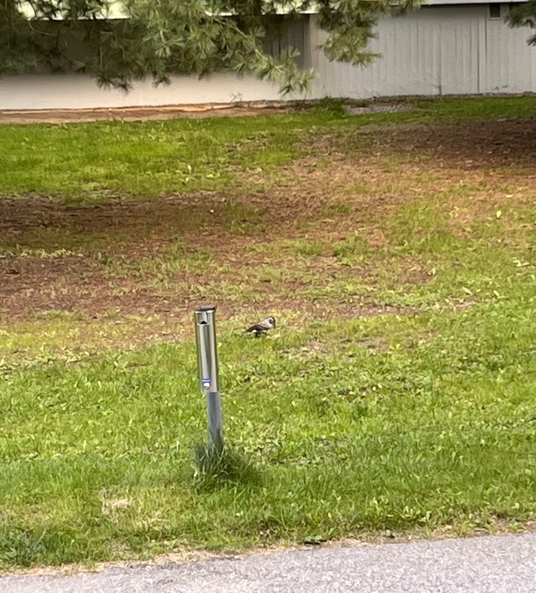 Valokuvaaja: Jaakko Liukkonen