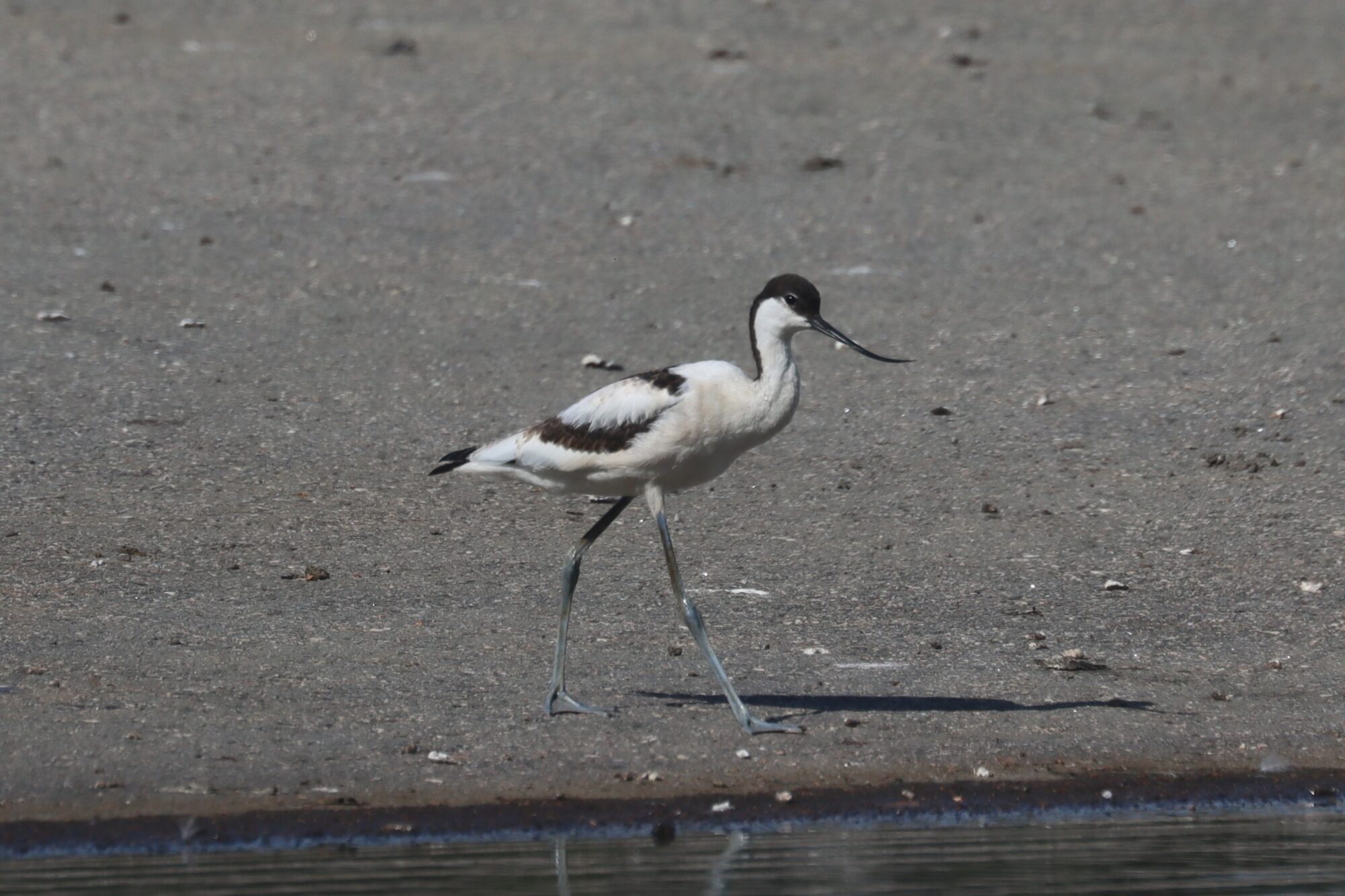 Valokuvaaja: Susanna Hannula
