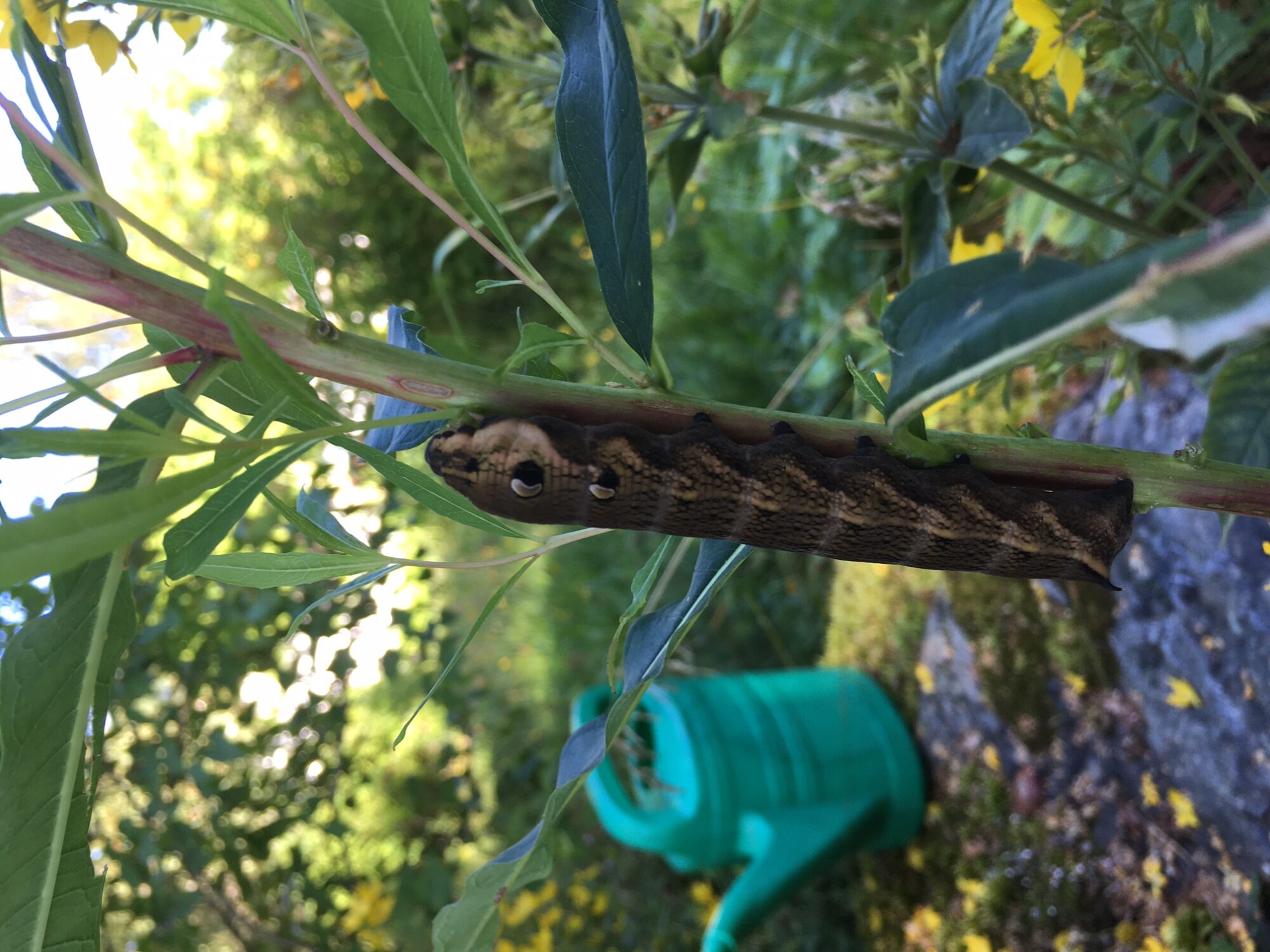 Valokuvaaja: Seija Hyny