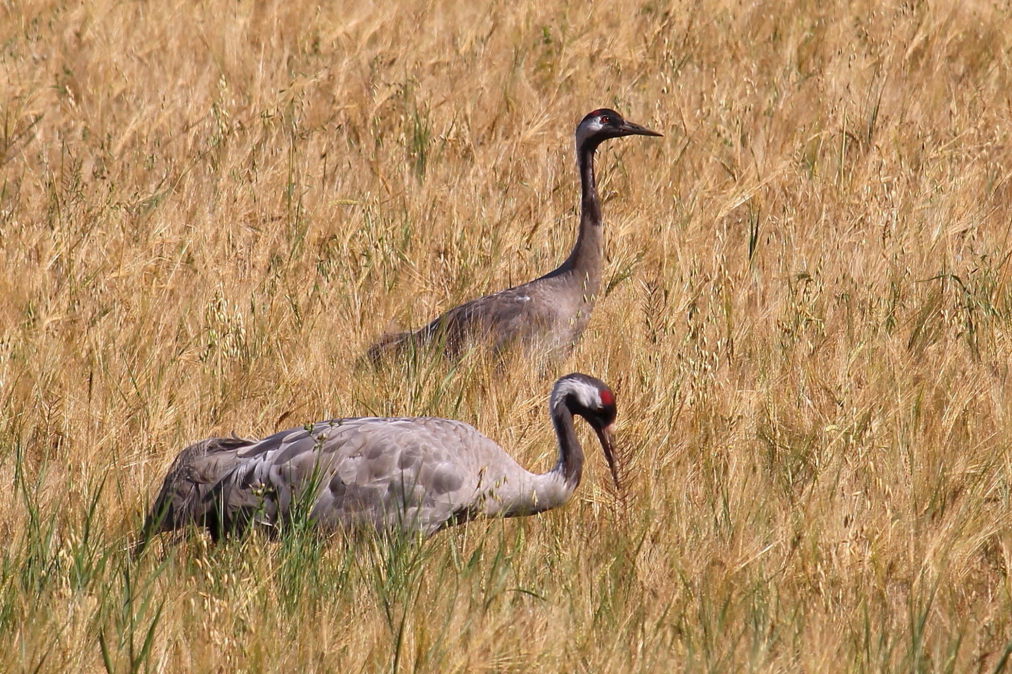 Valokuvaaja: Kirsi-Marja Joenpolvi Valokuvaaja: Kirsi-Marja Joenpolvi