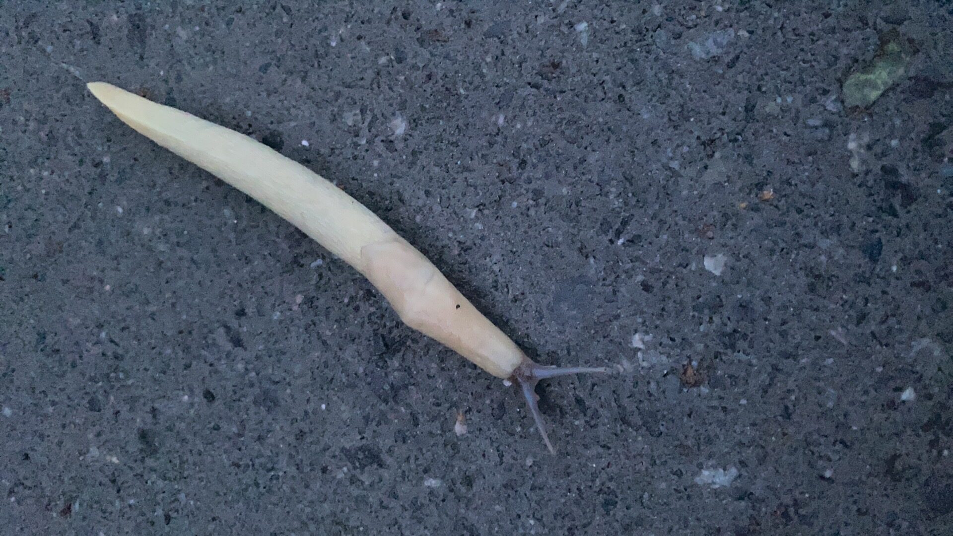 Valokuvaaja: Tuula Laaksonen