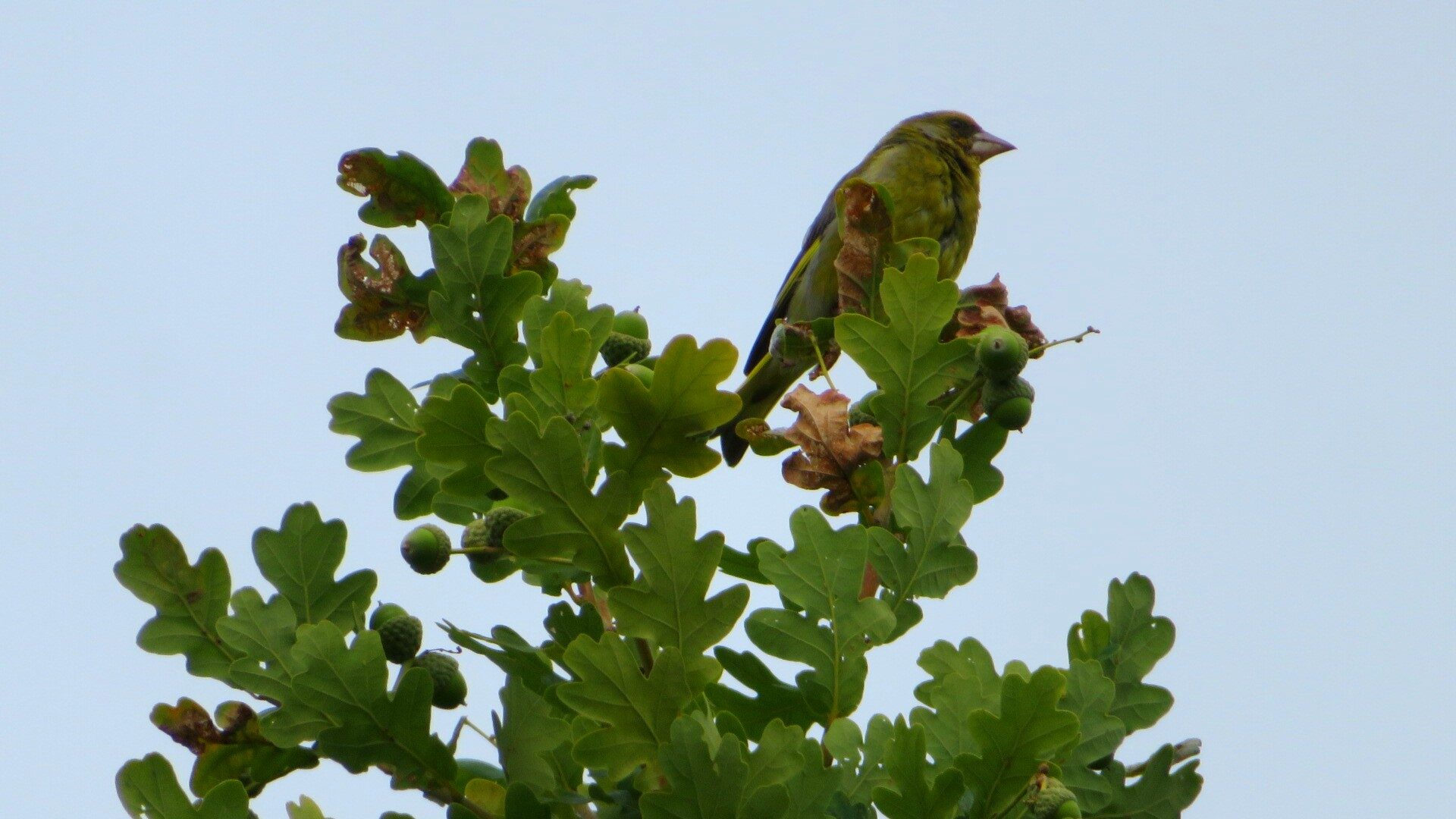 Valokuvaaja: Risto Kangassalo