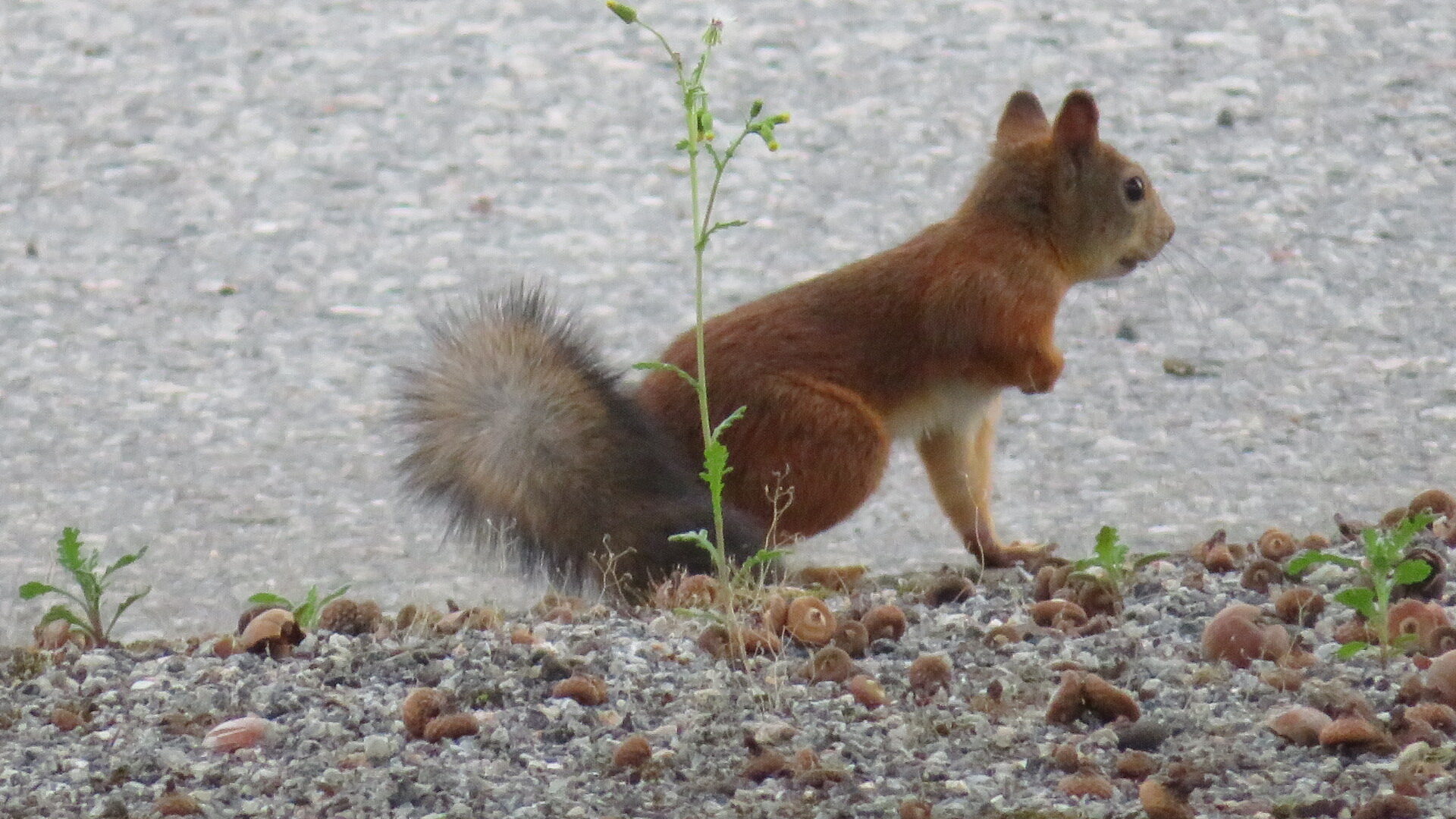 Valokuvaaja: Risto Kangassalo