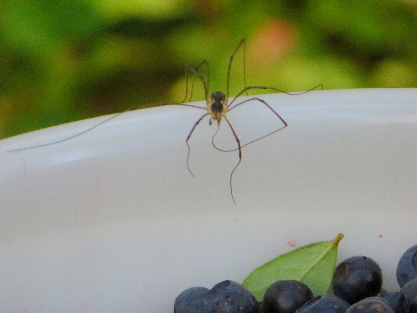 Valokuvaaja: Risto Kangassalo