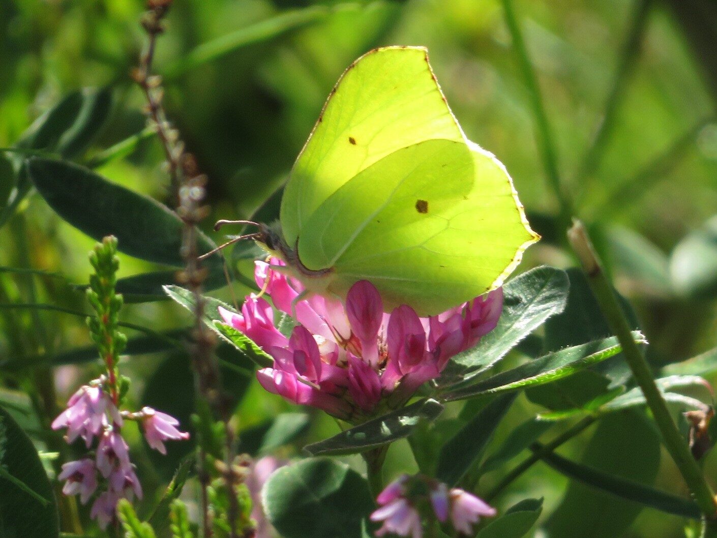 Valokuvaaja: Risto Kangassalo