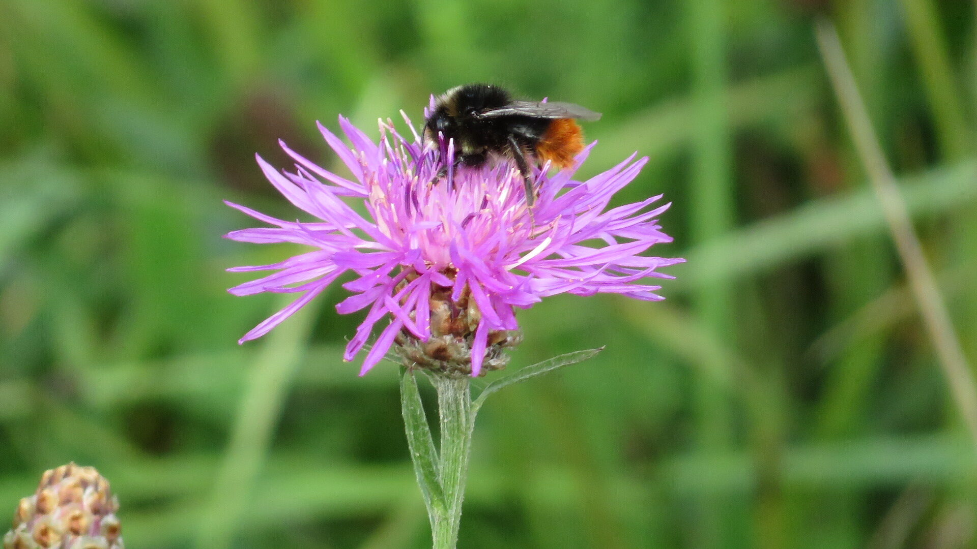 Valokuvaaja: Risto Kangassalo