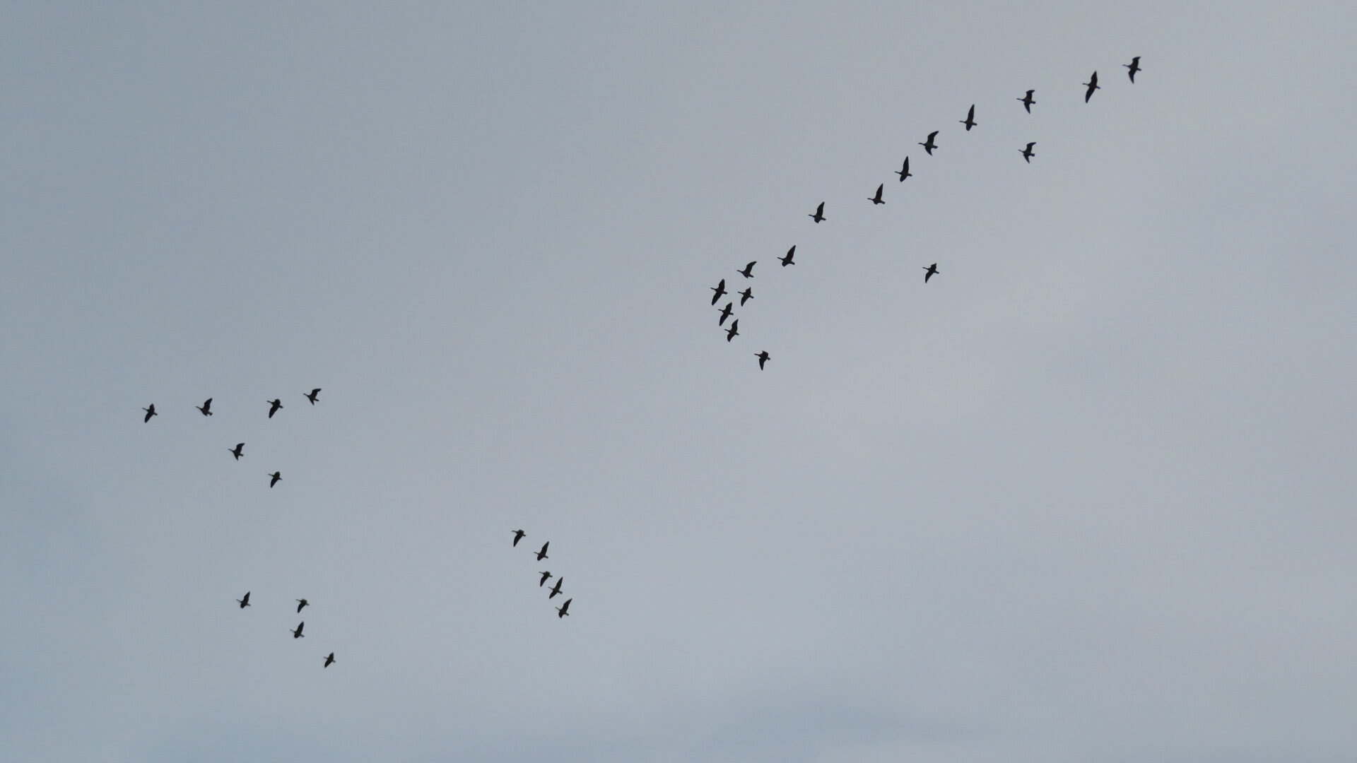 Valokuvaaja: Risto Kangassalo