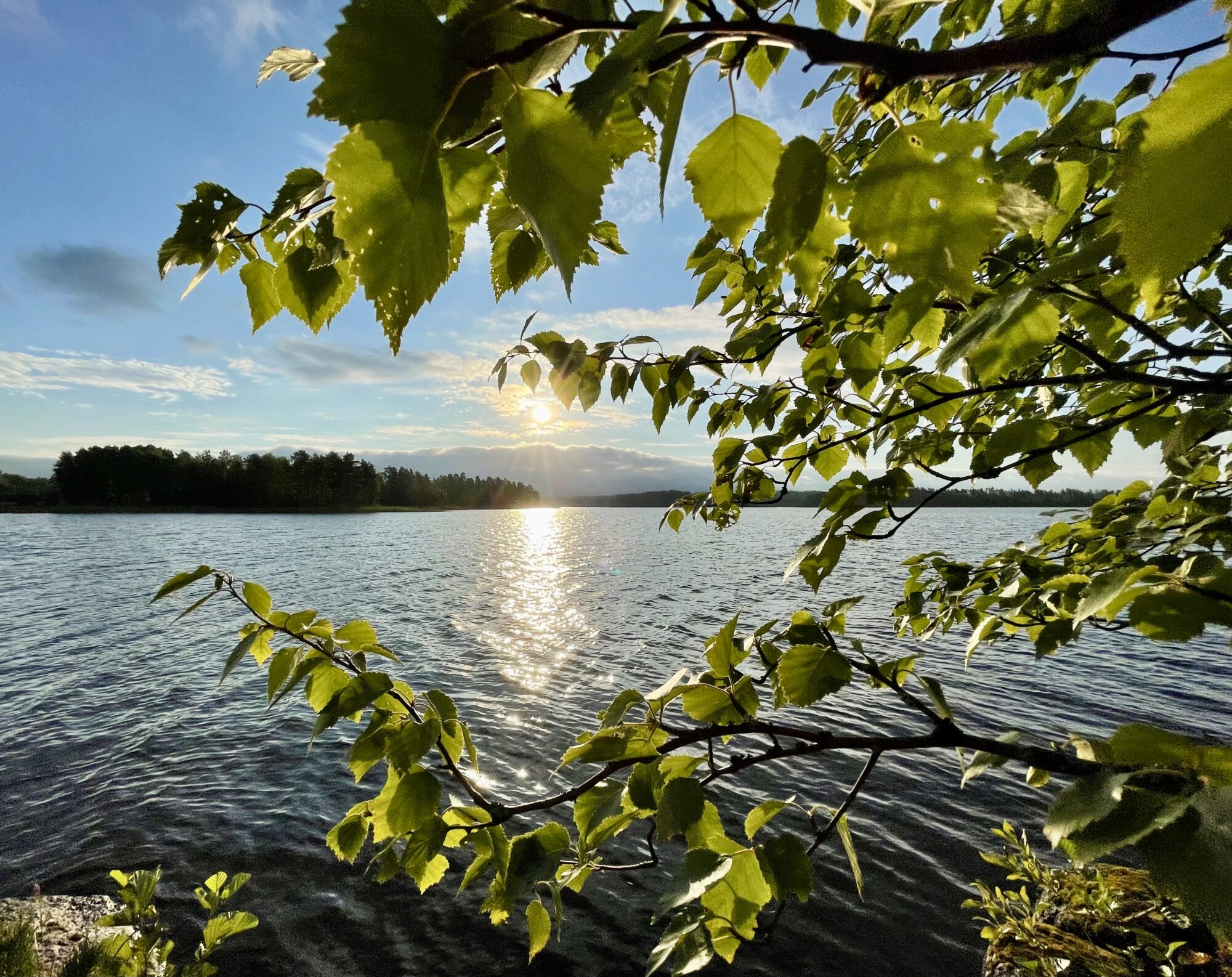 Valokuvaaja: Liisa Niiva-Korpela