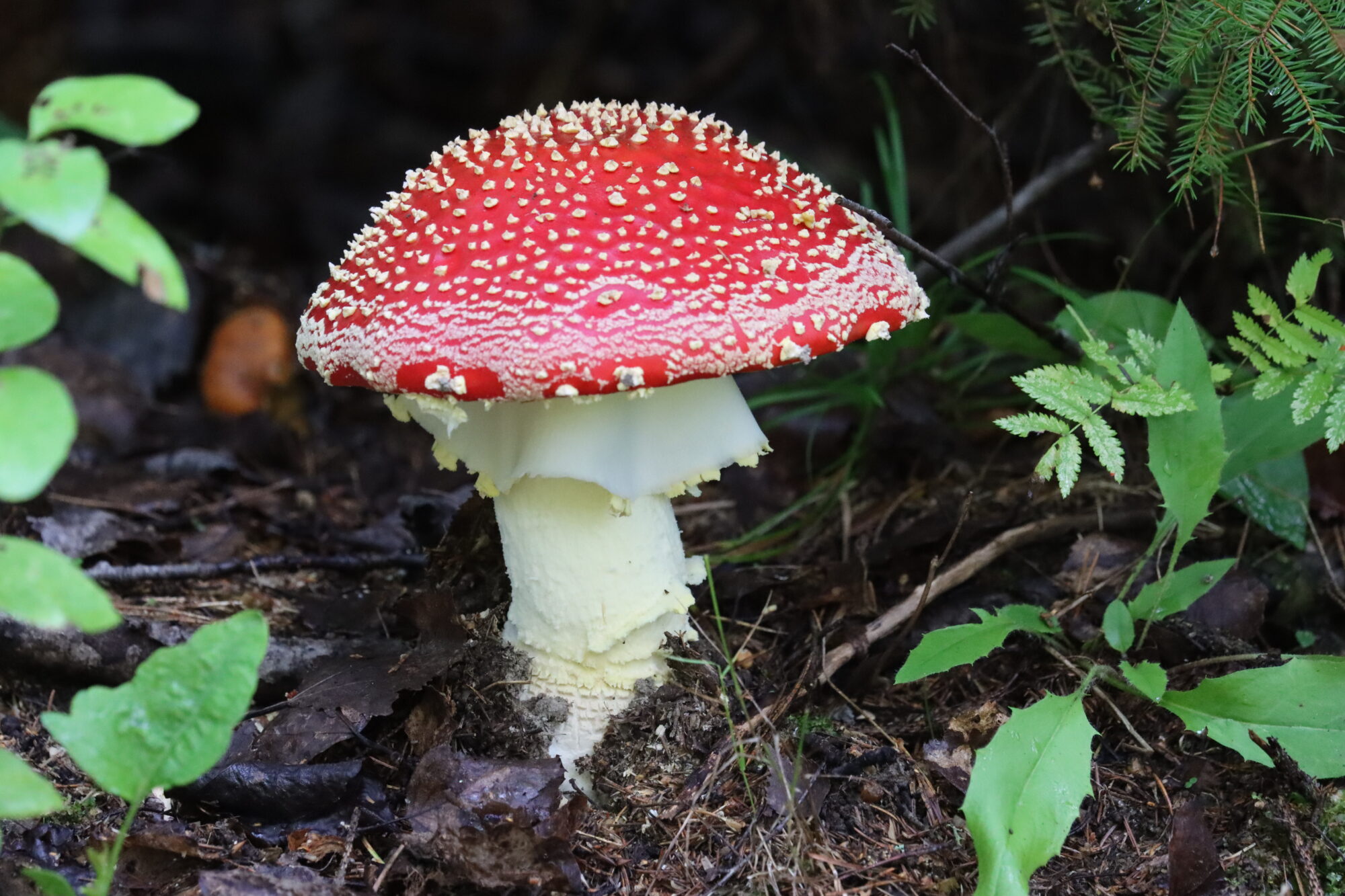 Valokuvaaja: Susanna Hannula