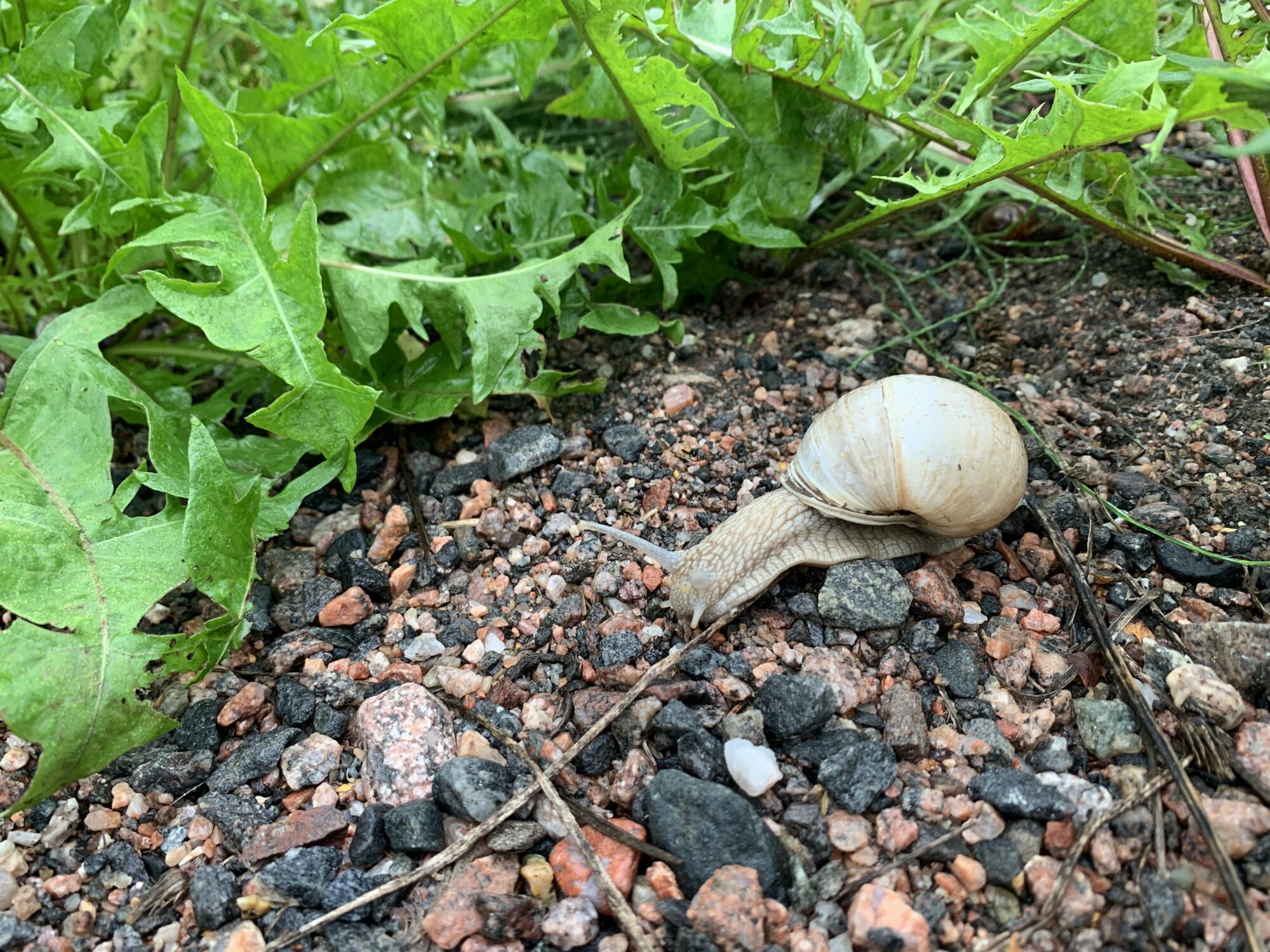 Valokuvaaja: Anni Koskela