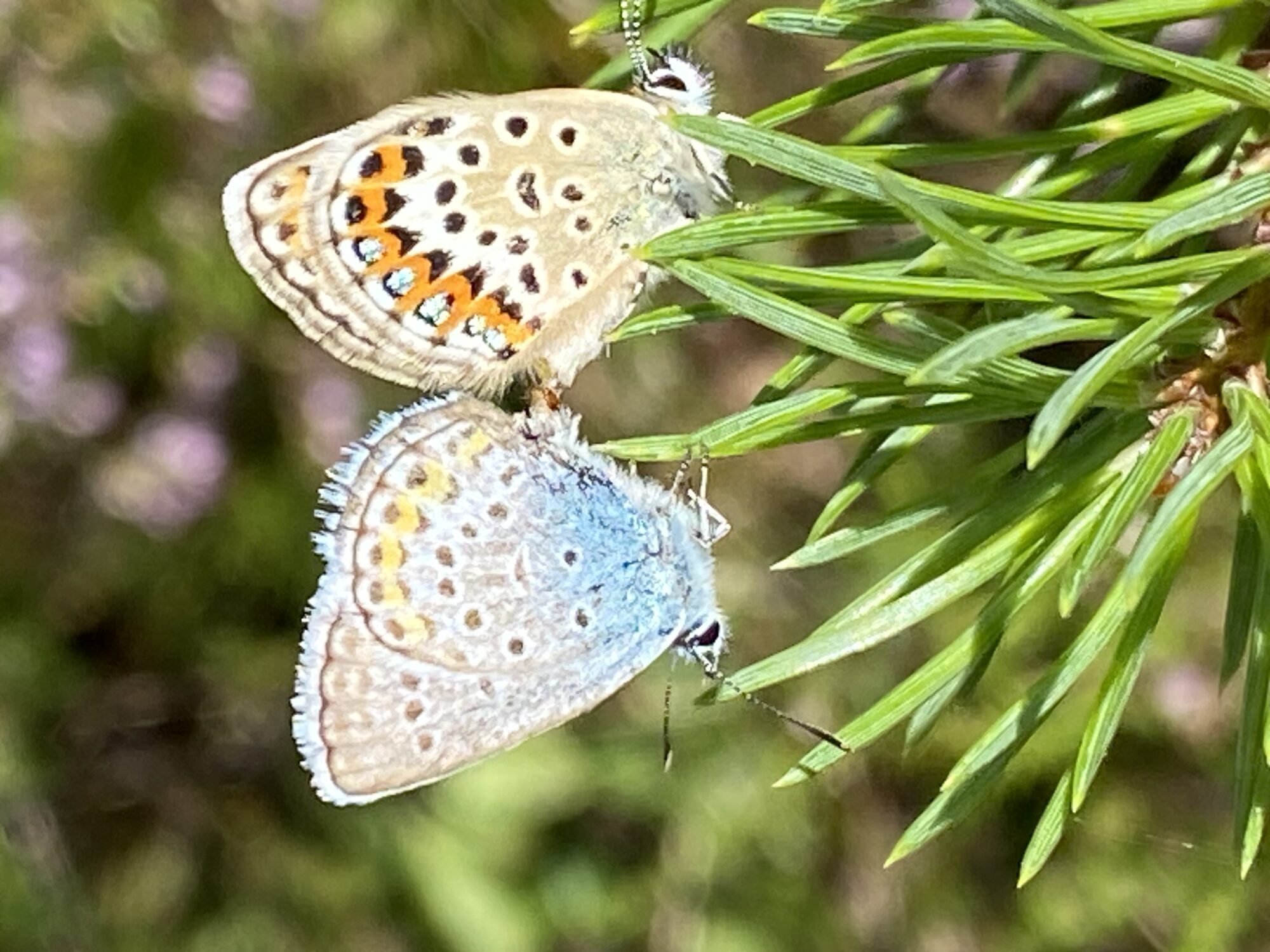 Valokuvaaja: Pirkko Ek