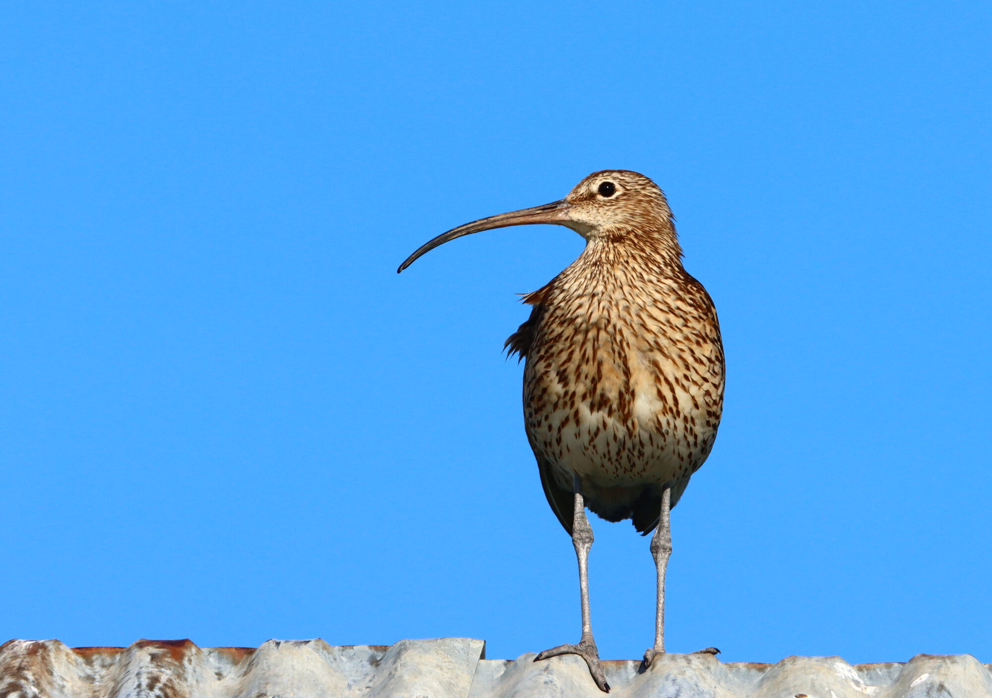 Valokuvaaja: Irja Lehtinen