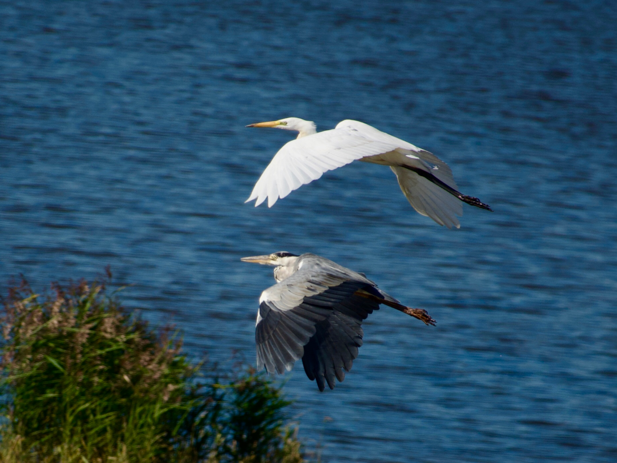Valokuvaaja: Juha Naukkarinen