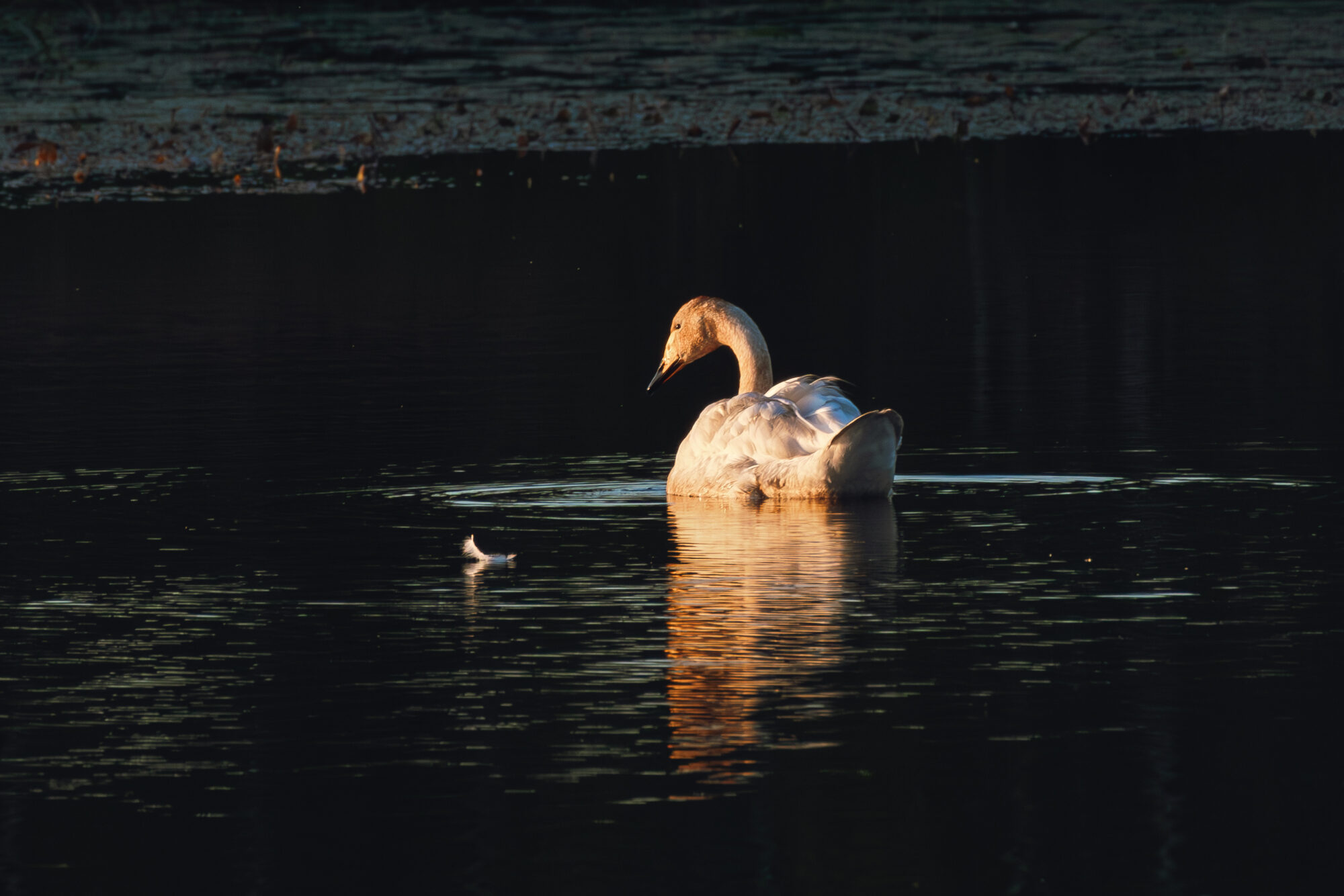 Valokuvaaja: Leevi Halme