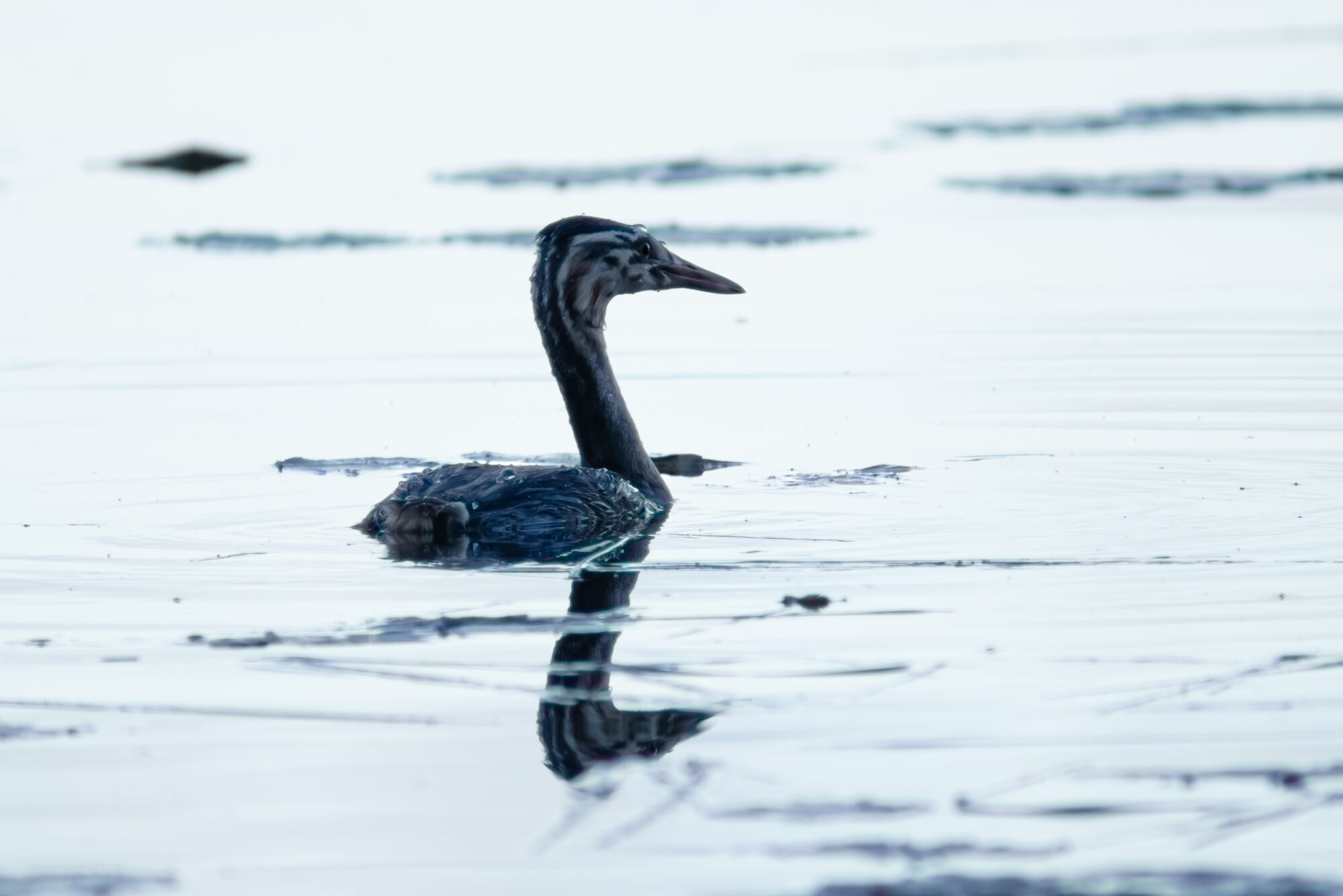 Valokuvaaja: Leevi Halme