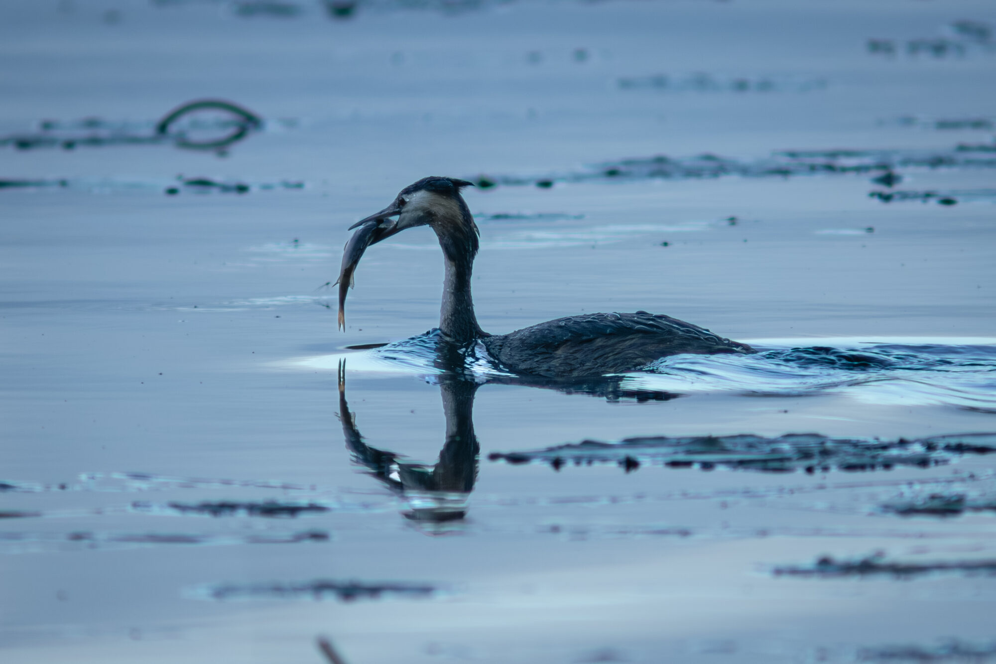 Valokuvaaja: Leevi Halme