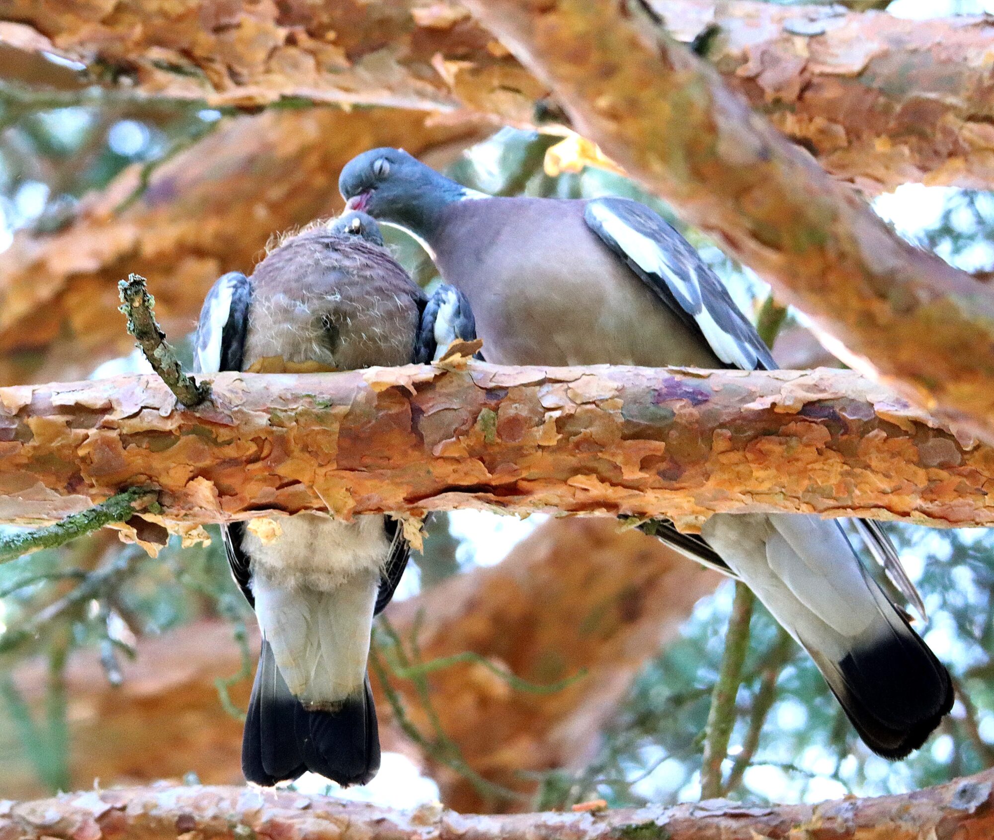 Valokuvaaja: Irja Lehtinen