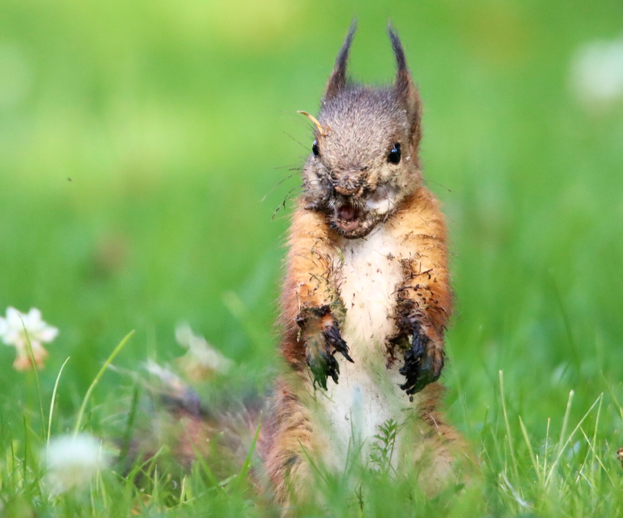 Valokuvaaja: Irja Lehtinen