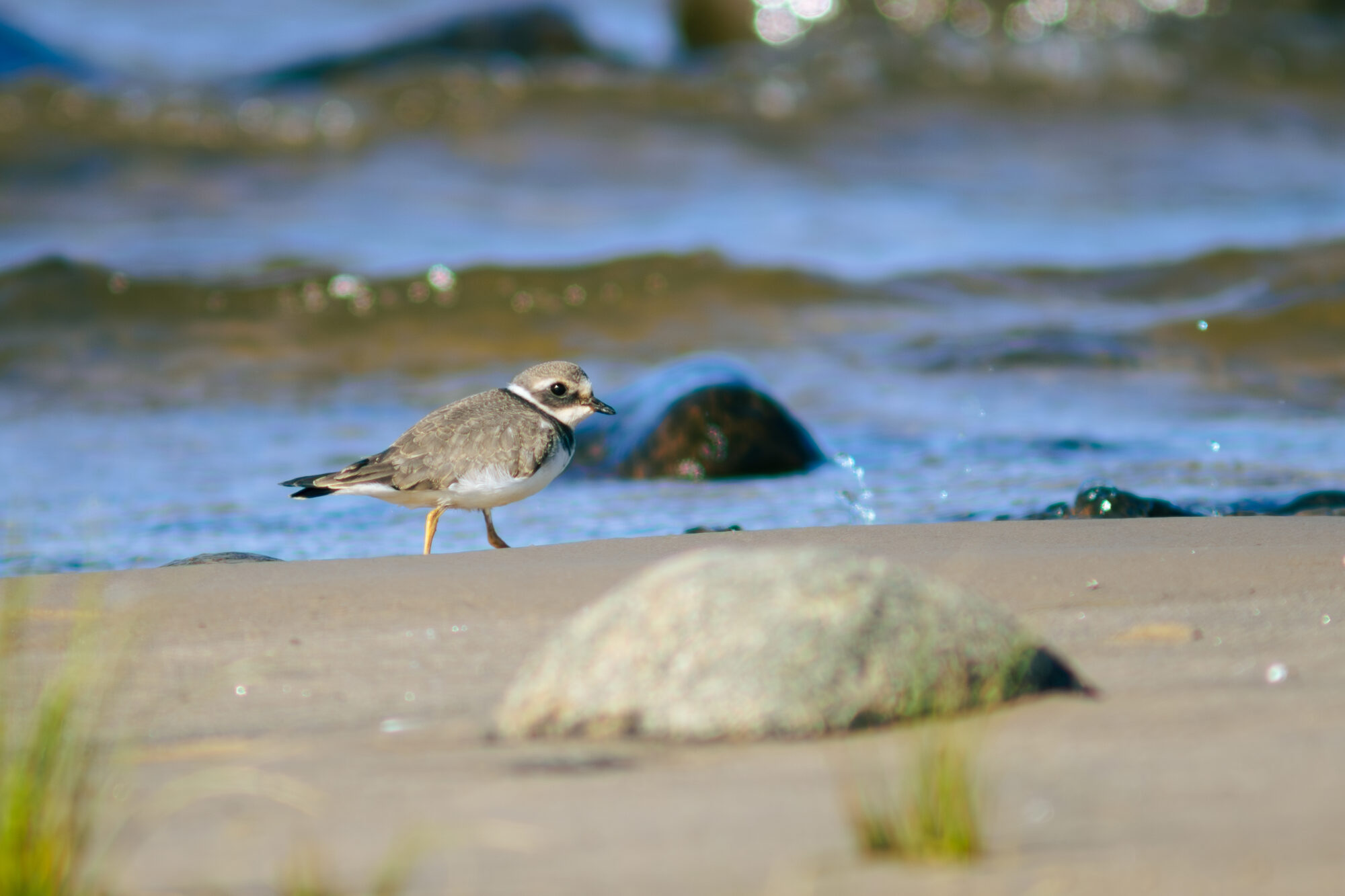 Valokuvaaja: Leevi Halme