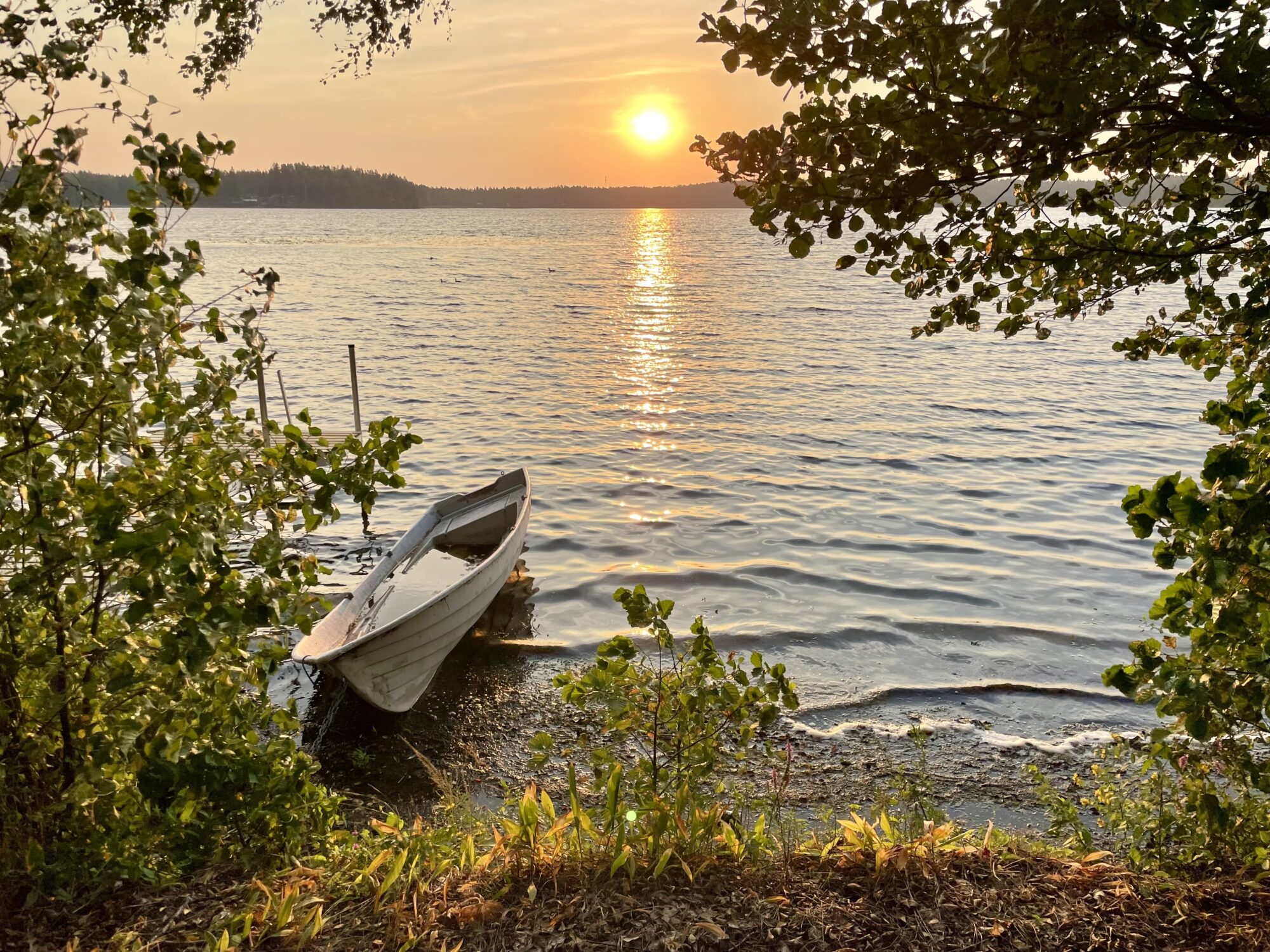 Valokuvaaja: Juhani Peltonen