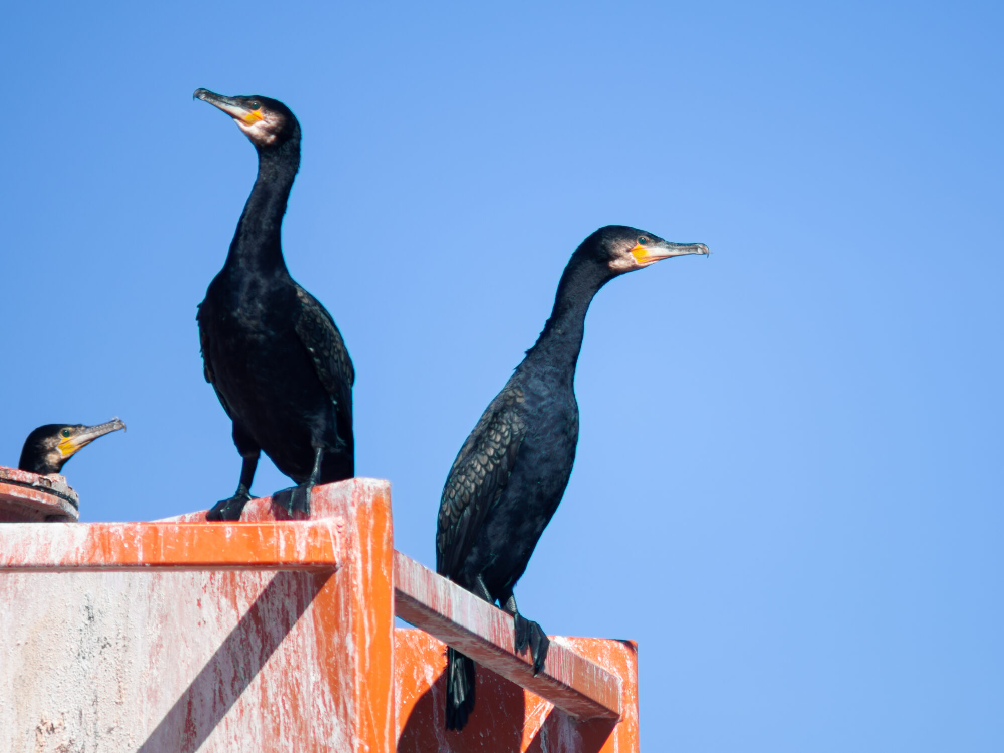 Valokuvaaja: Leevi Halme