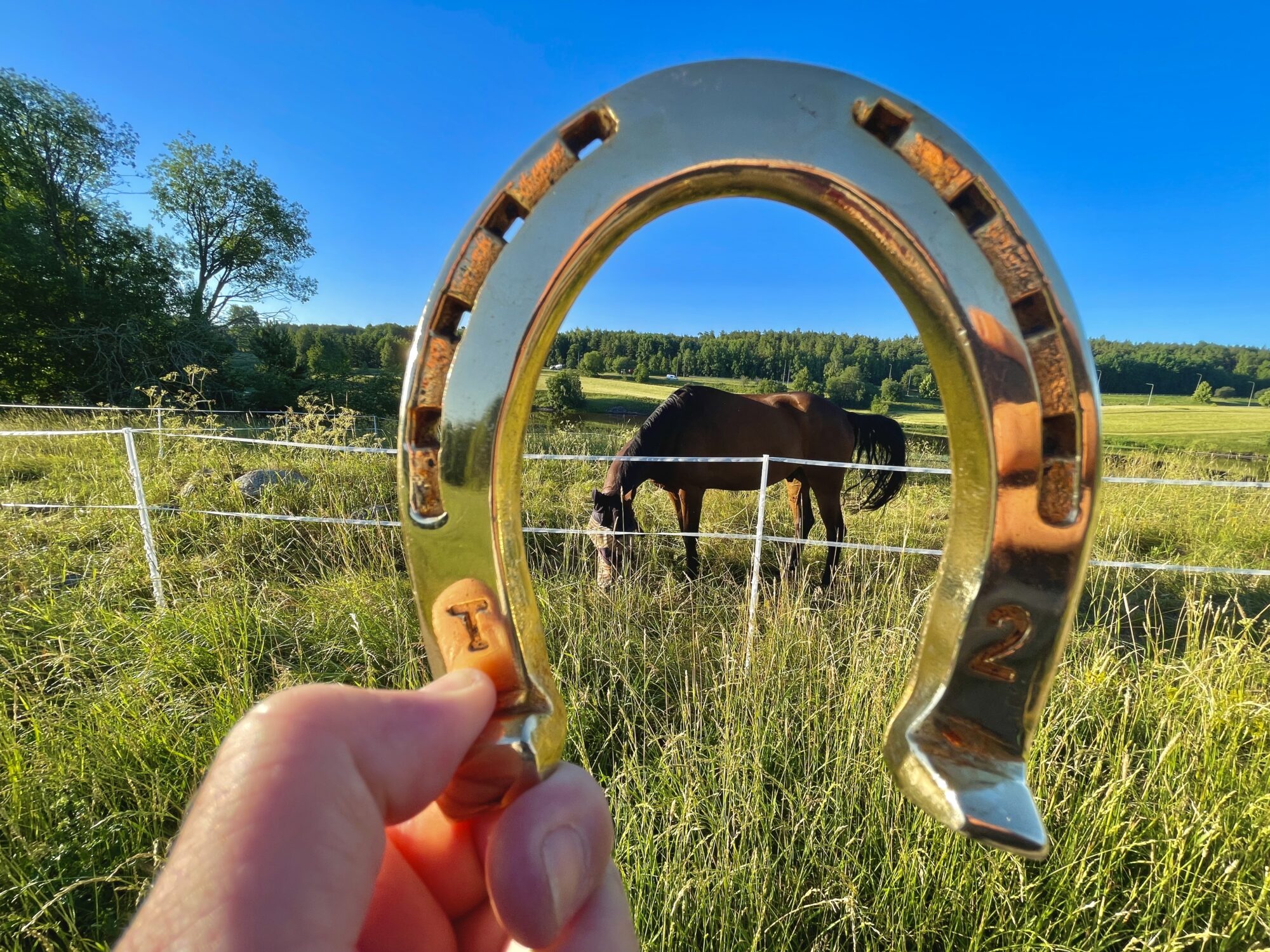 Valokuvaaja: Juhani Peltonen