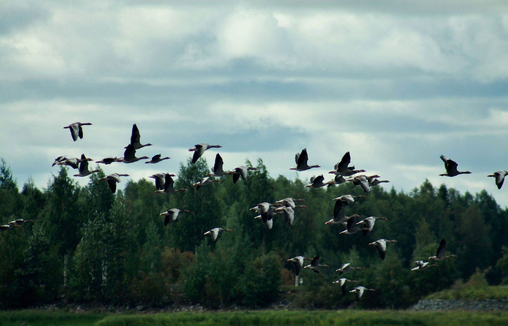 Valokuvaaja: Pirkko Siukonen