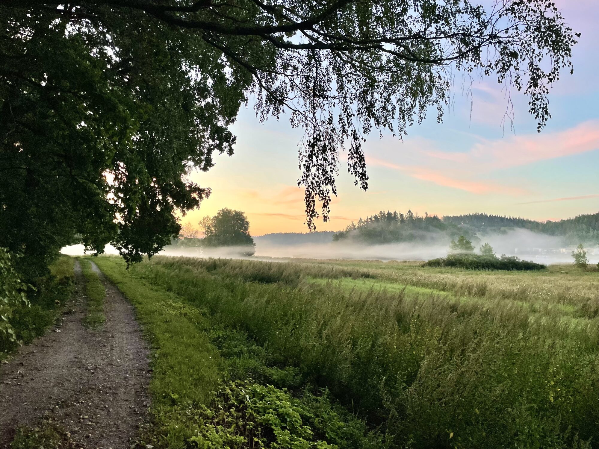 Valokuvaaja: Juhani Peltonen