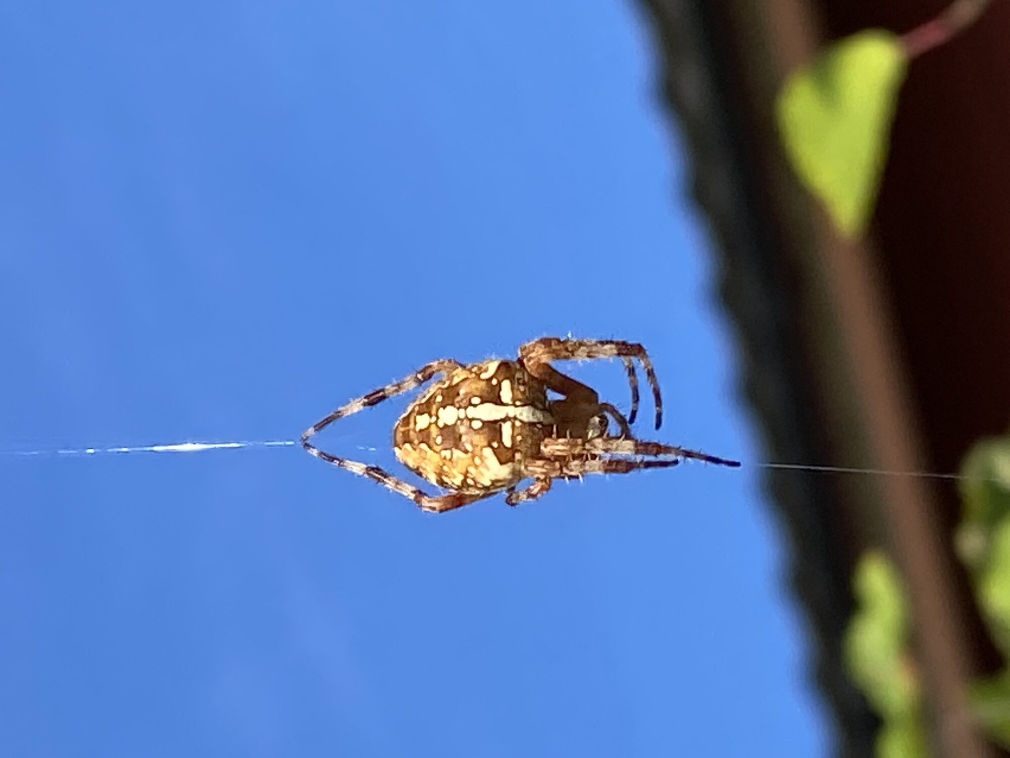 Valokuvaaja: Jonna Modev