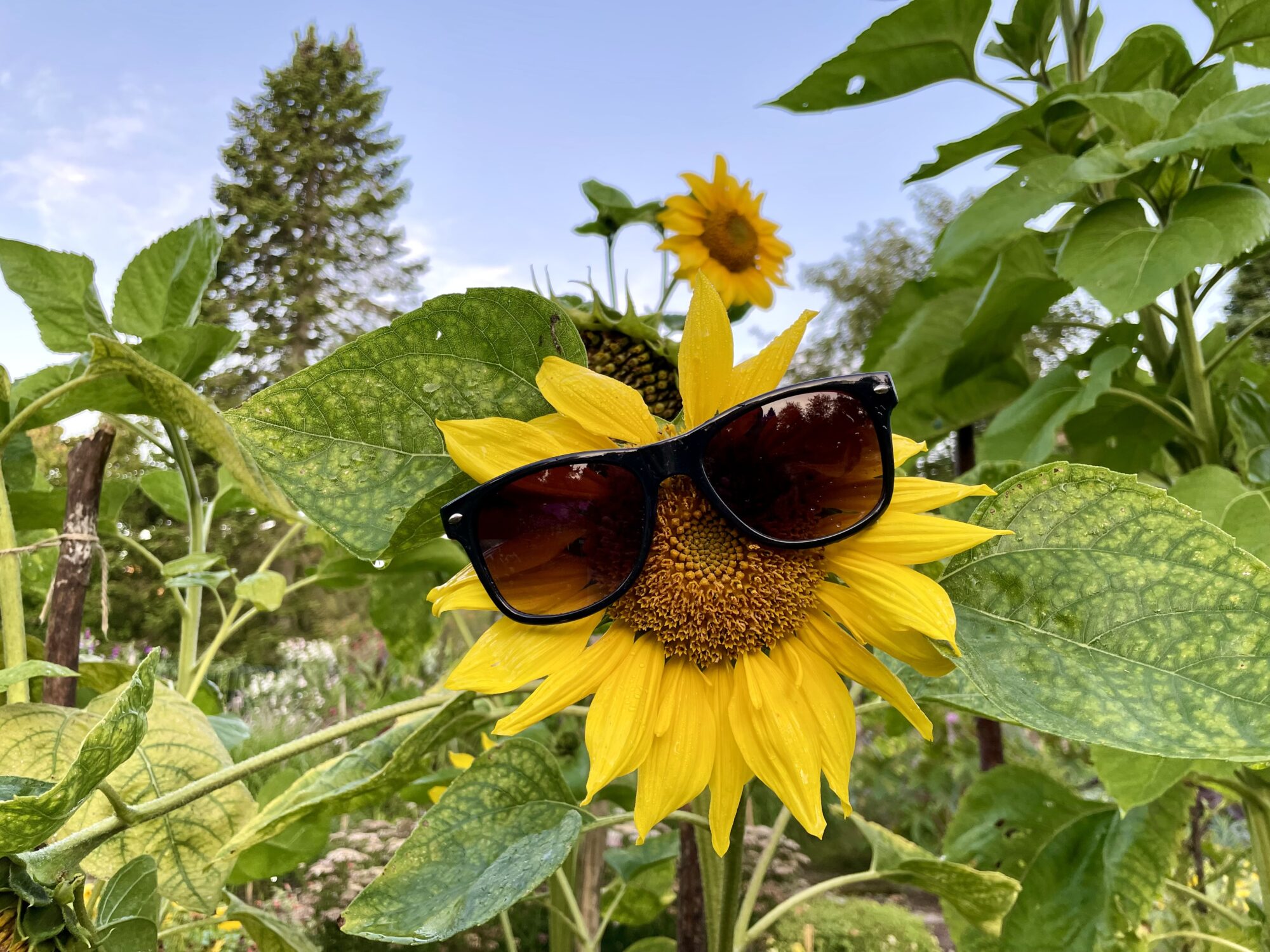 Valokuvaaja: Juhani Peltonen